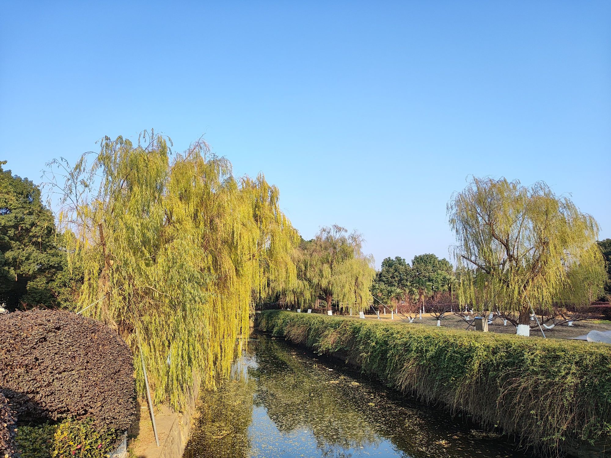 海天公园旅行图片 1