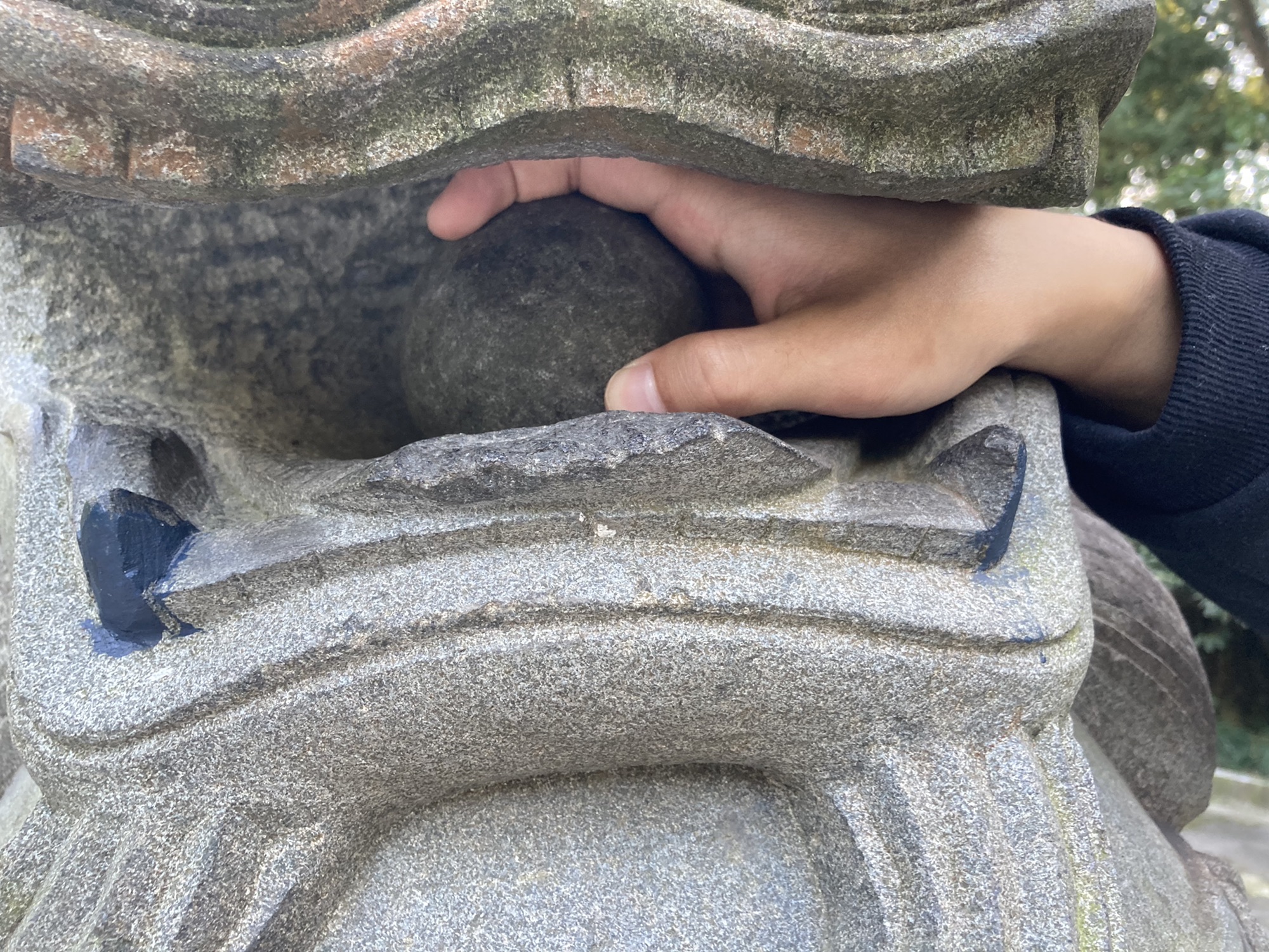 跃龙山公园旅行图片 1