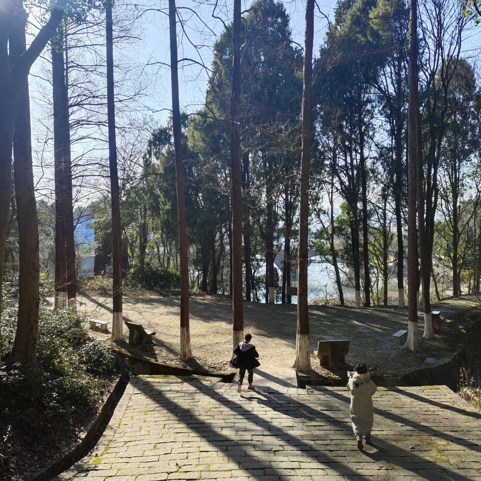 跃龙山公园旅行图片 3
