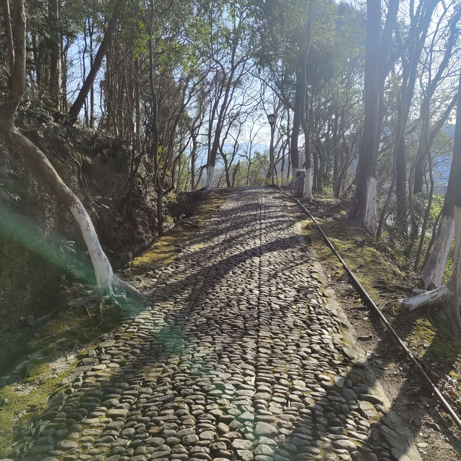 跃龙山公园旅行图片 2