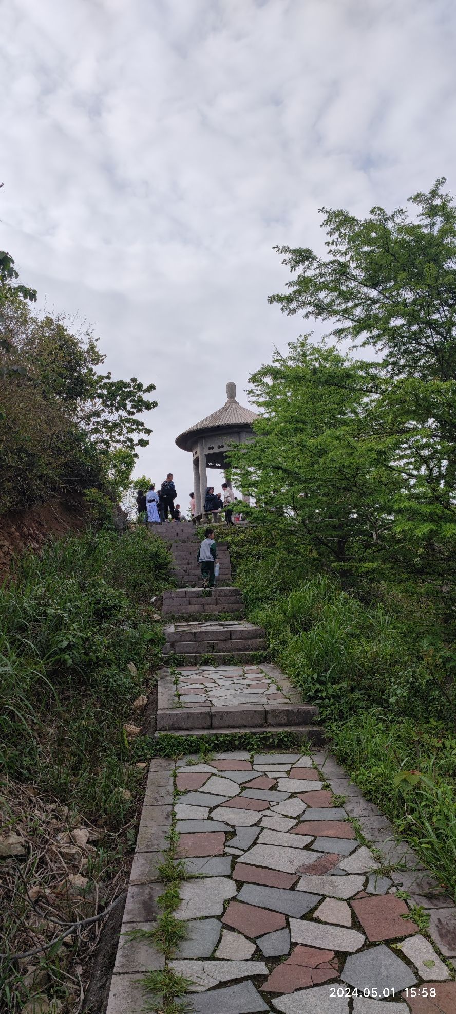 北仑森林植物园旅行图片 3