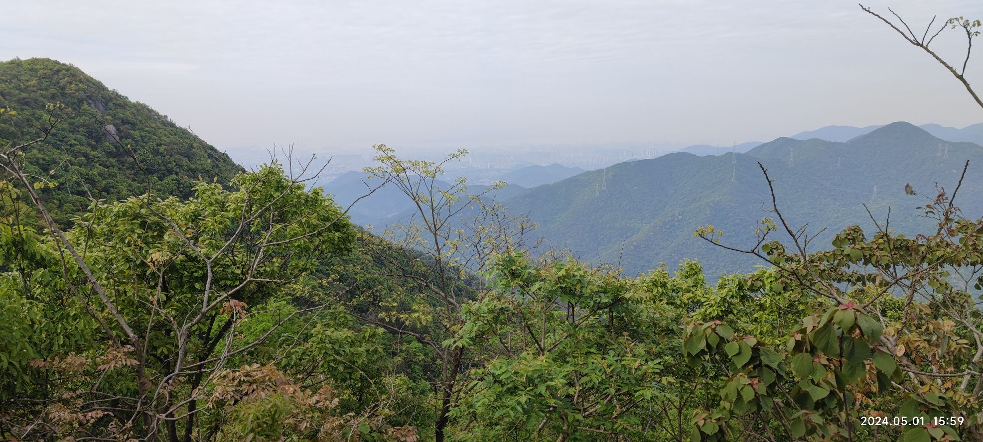 北仑森林植物园旅行图片 2