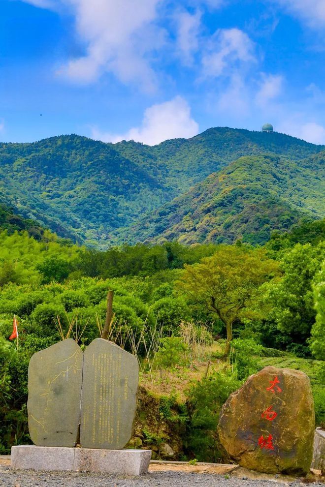 北仑森林植物园旅行图片 1