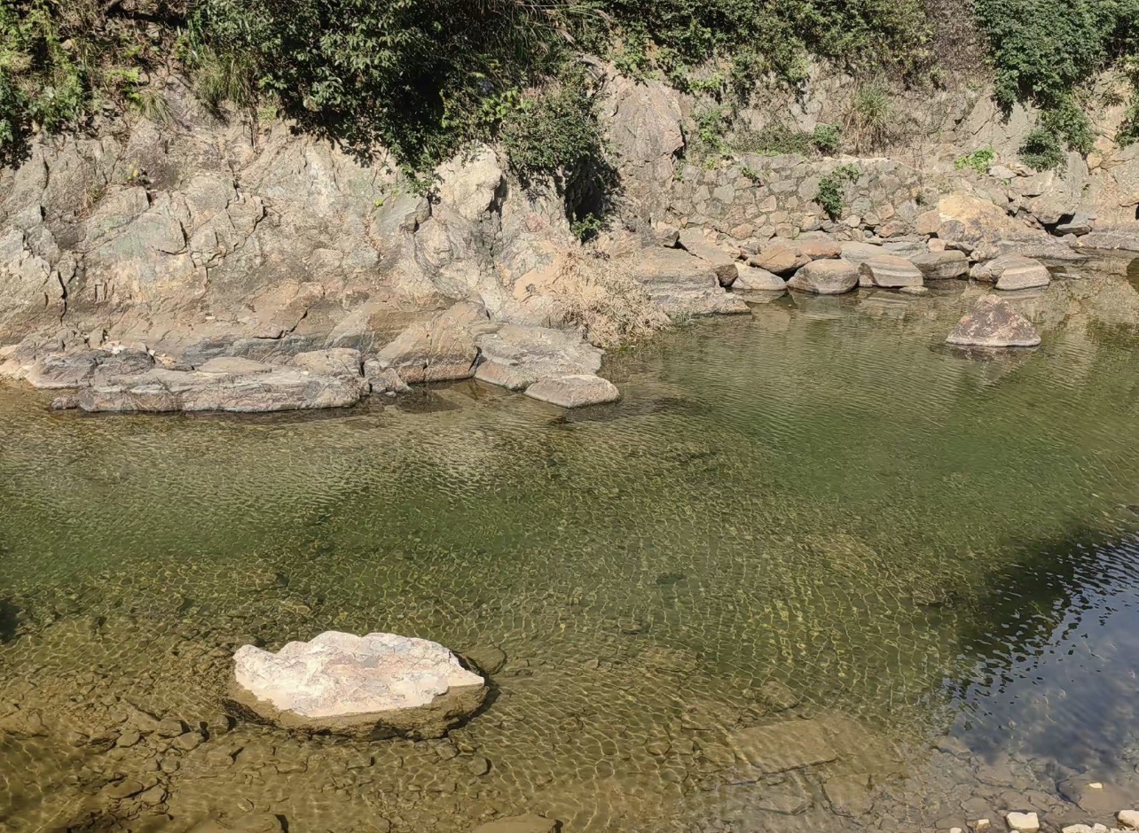 北仑森林植物园旅行图片 2