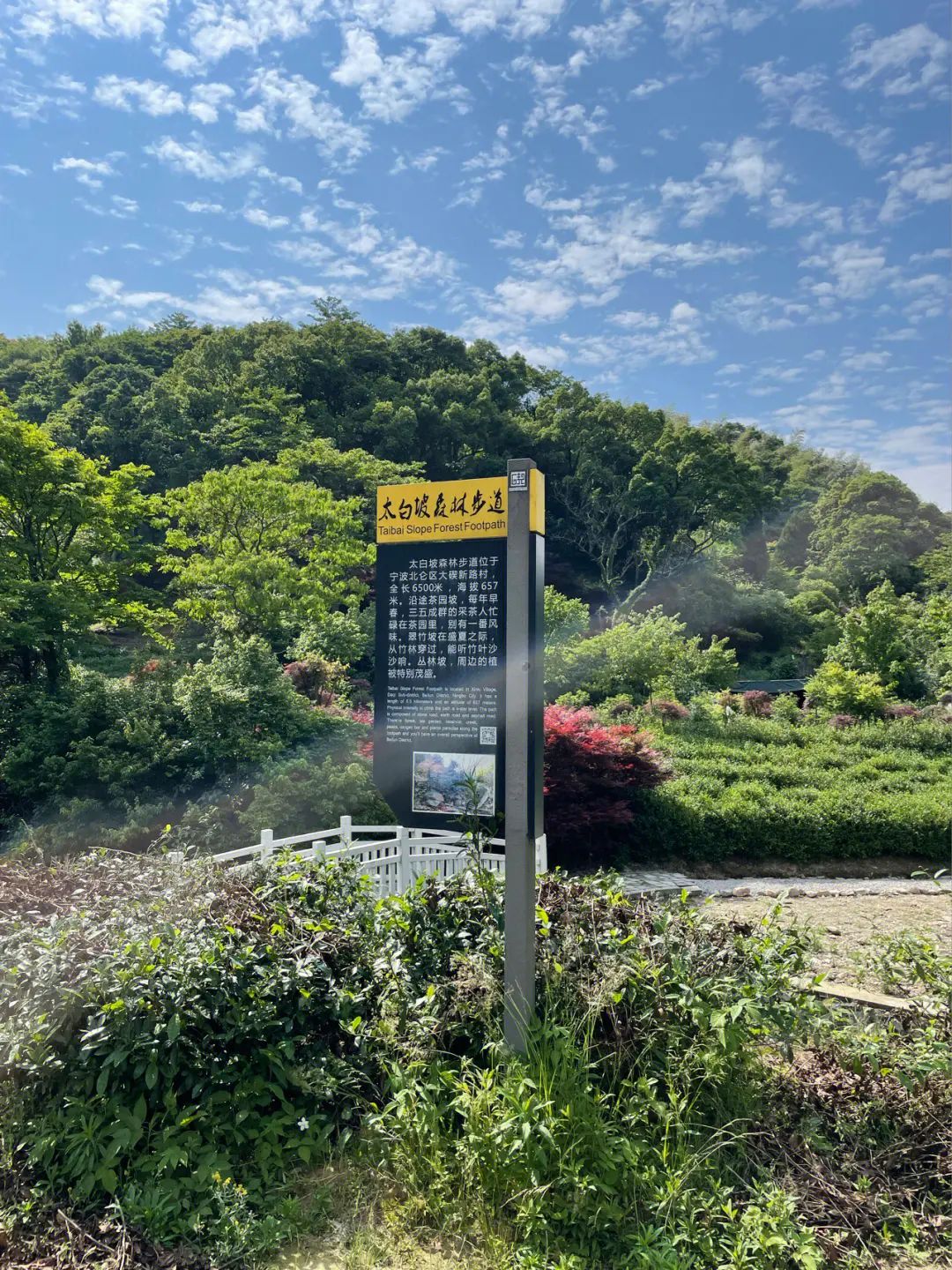 北仑森林植物园旅行图片 2