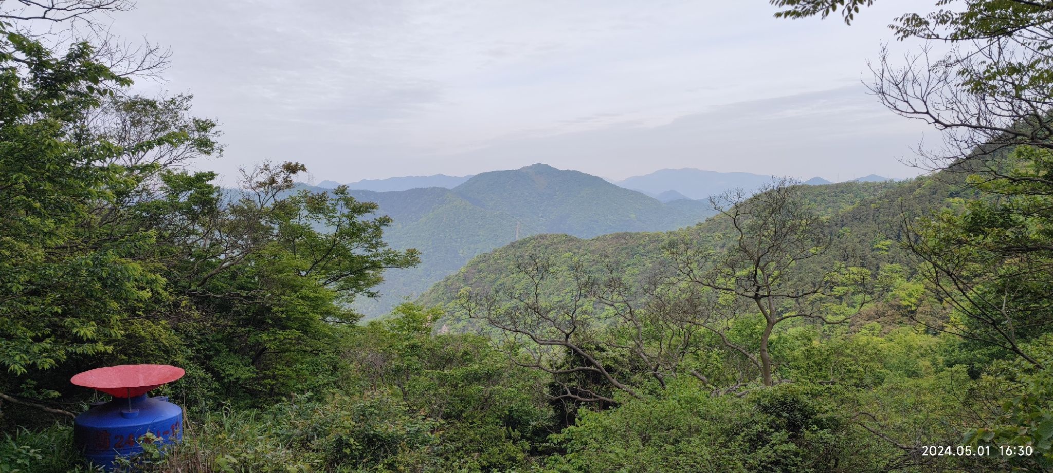 北仑森林植物园旅行图片 1