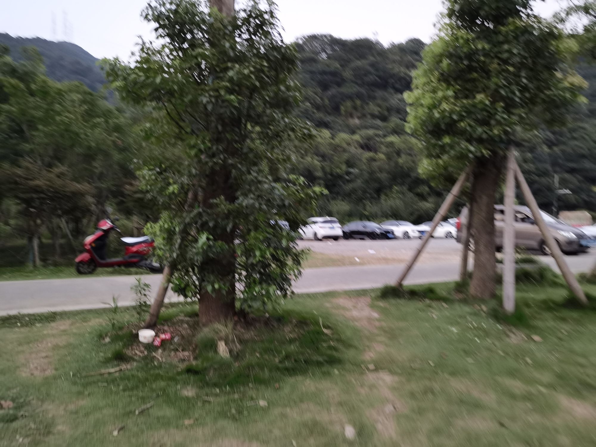 北仑森林植物园旅行图片 3