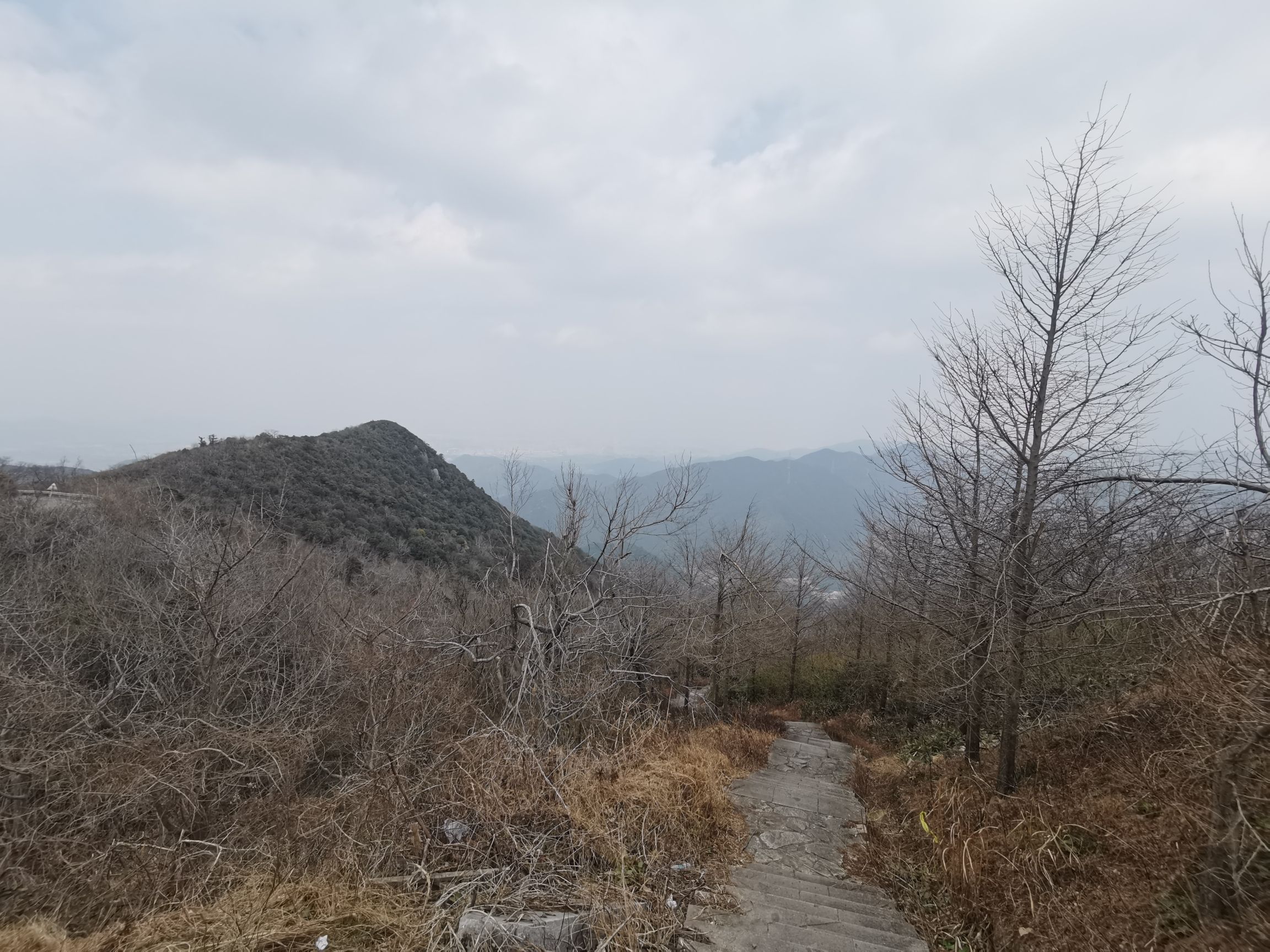 北仑森林植物园旅行图片 2