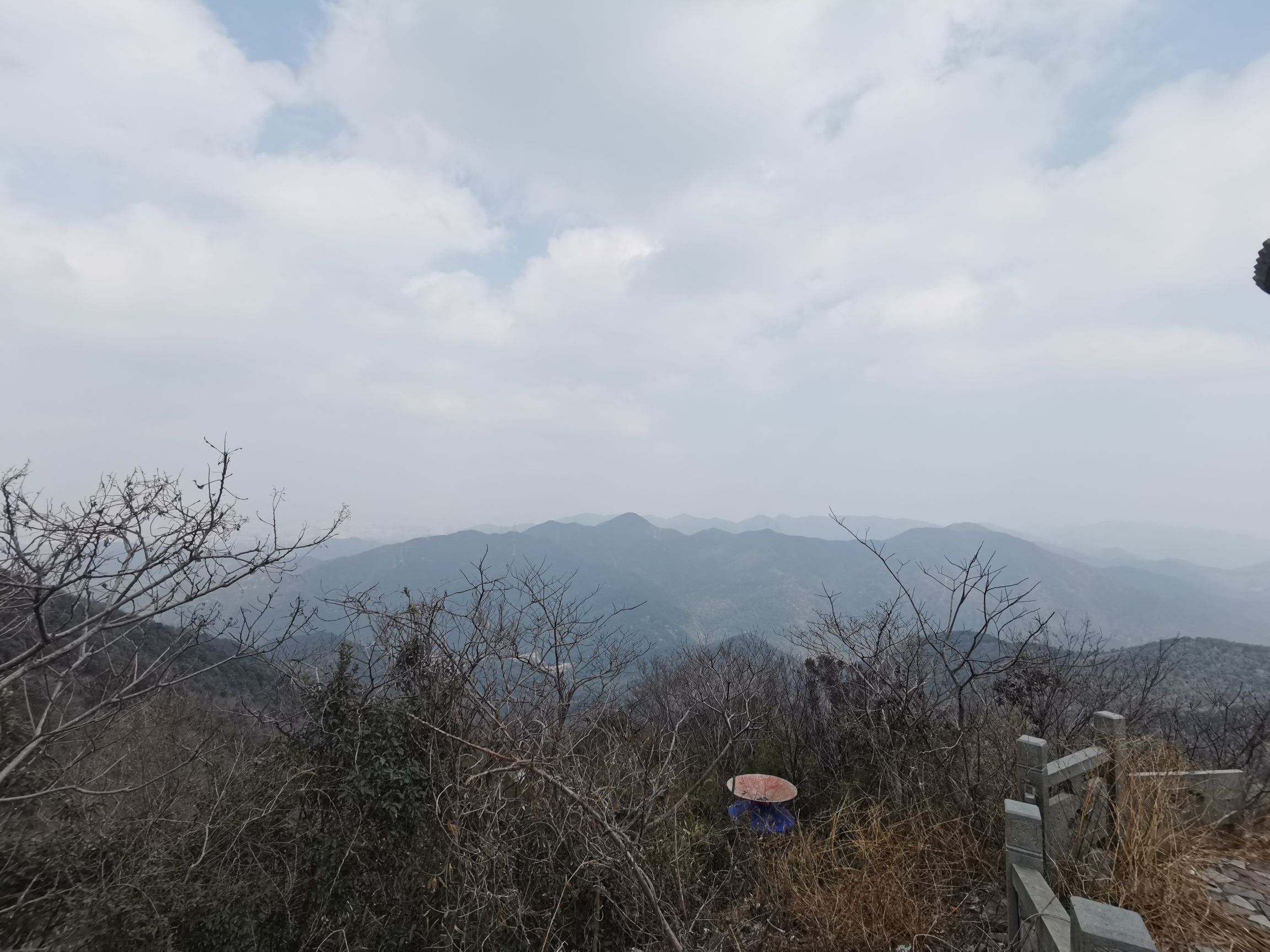 北仑森林植物园旅行图片 3