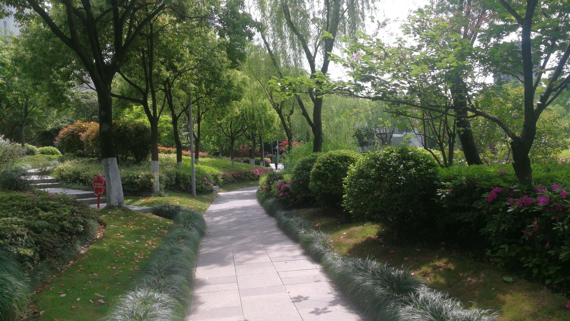 青林湾公园旅行图片 3