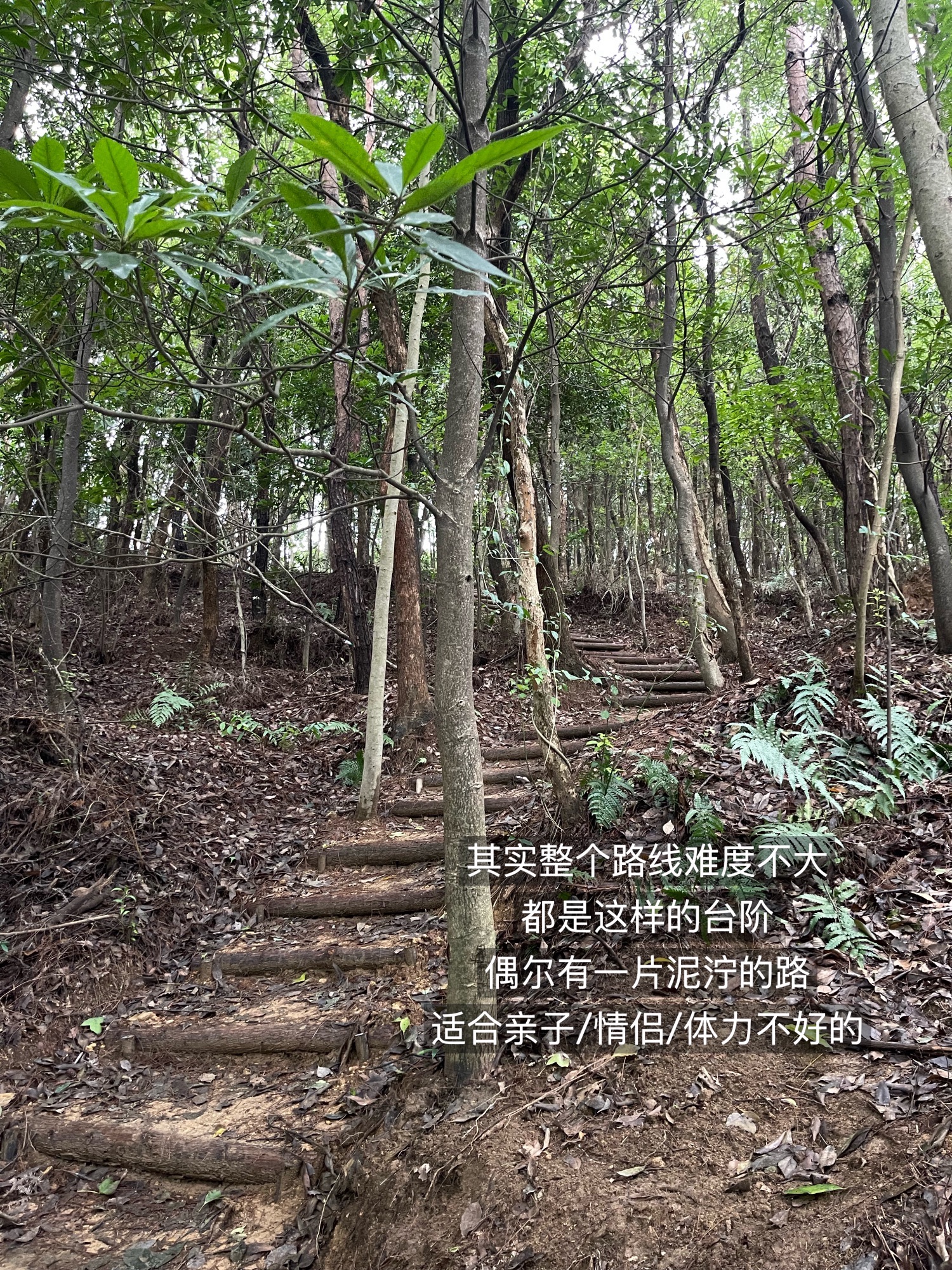 白石仙枰旅行图片 3