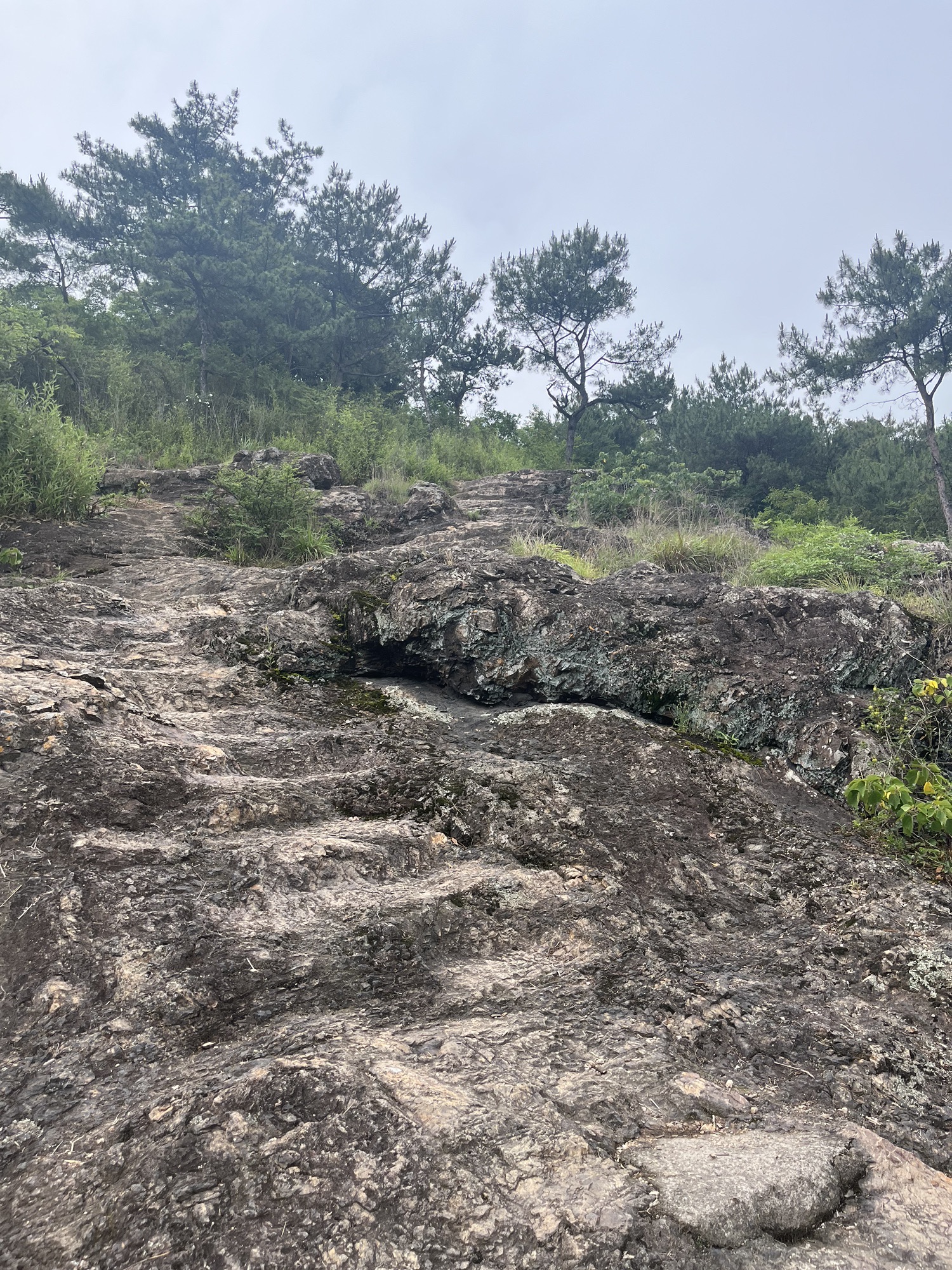 白石仙枰旅行图片 3