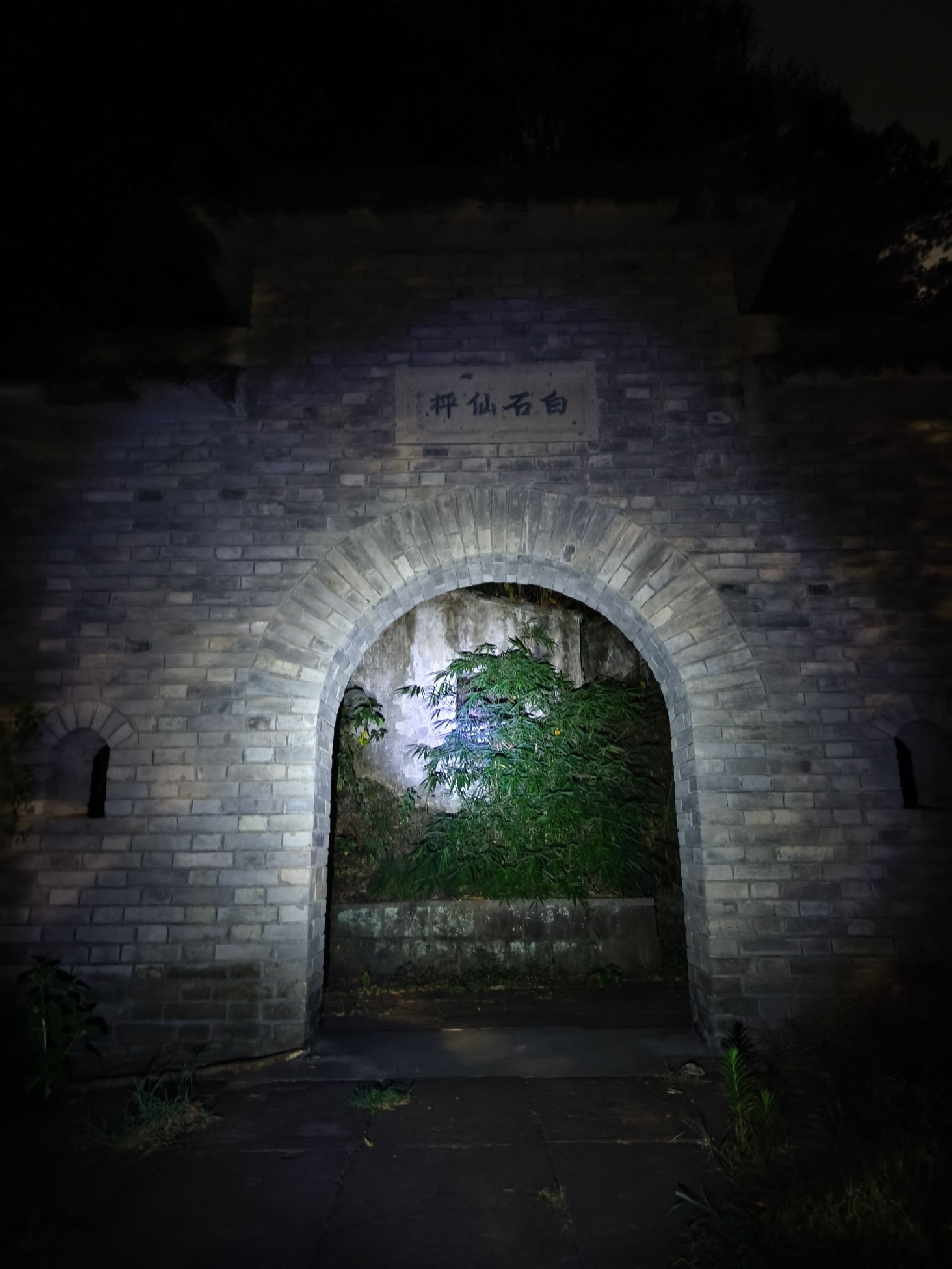 白石仙枰旅行图片 1
