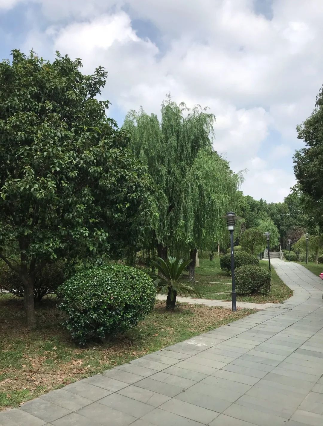 大千公园旅行图片 2