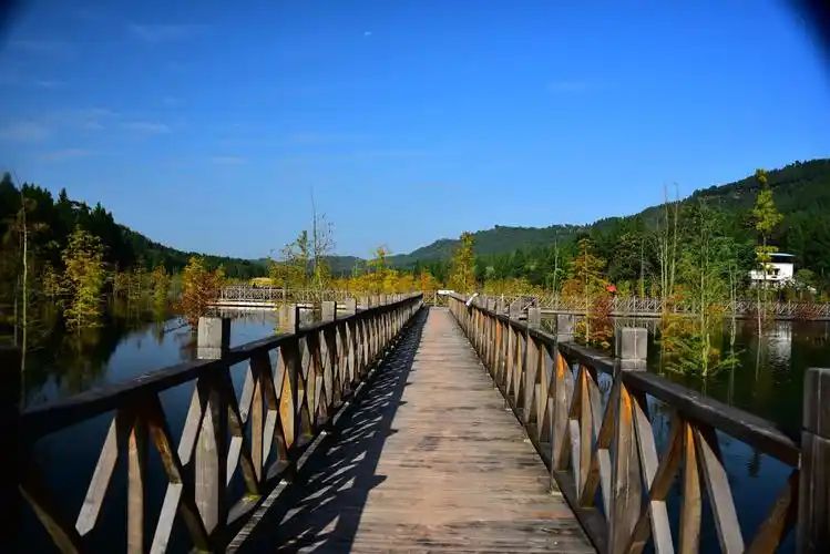 清水湖公园旅行图片 2