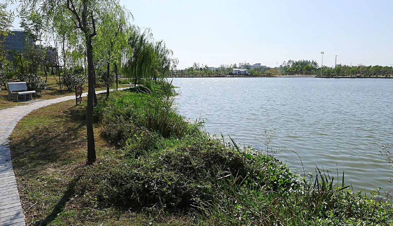 清水湖公园旅行图片 3