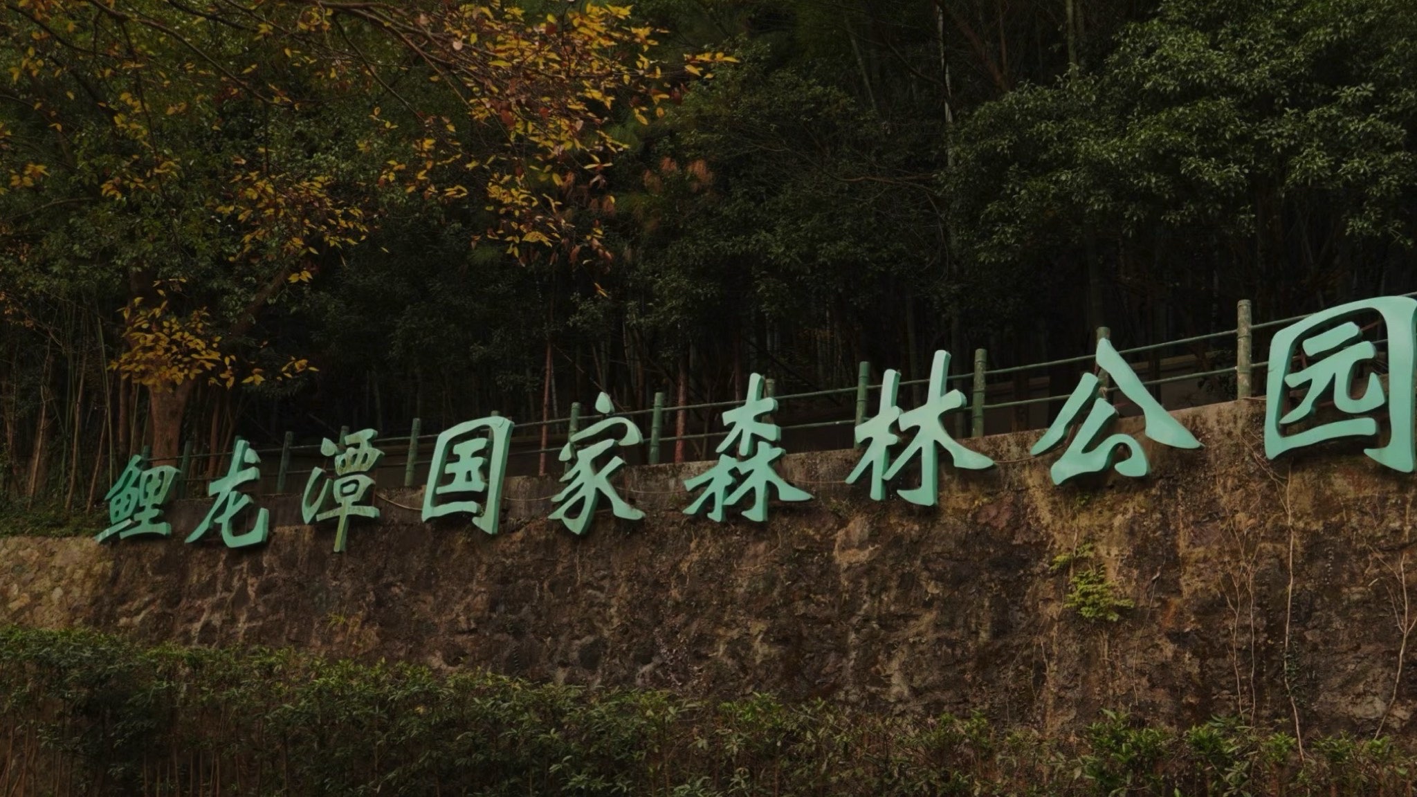 鲤龙潭森林公园旅行图片 1