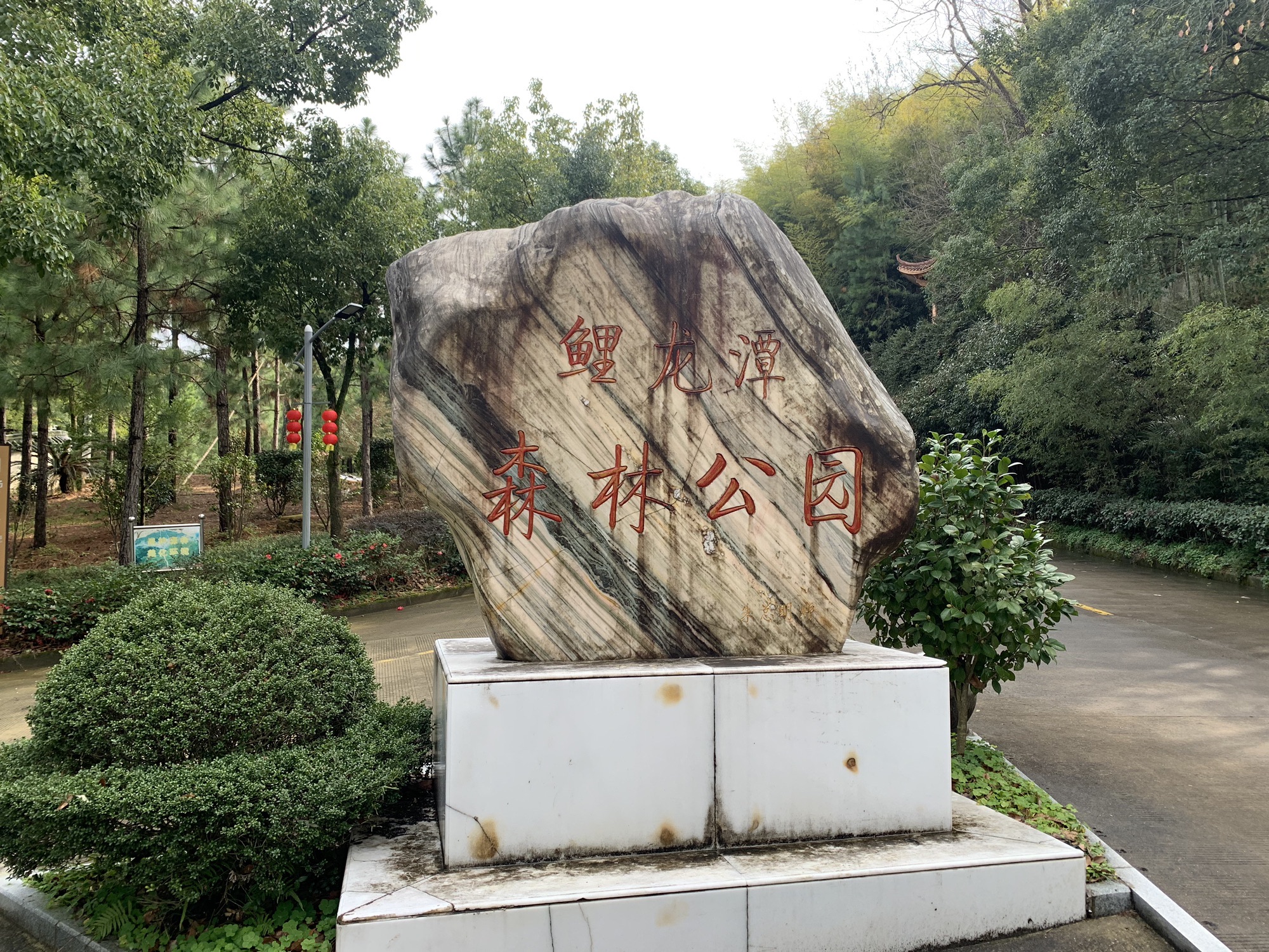 鲤龙潭森林公园旅行图片 1