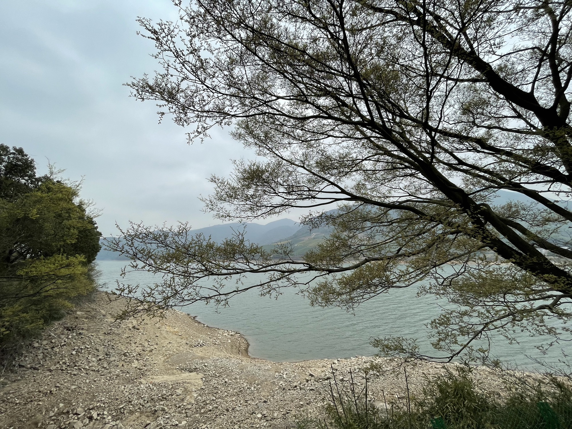 金鹅湖旅行图片 1