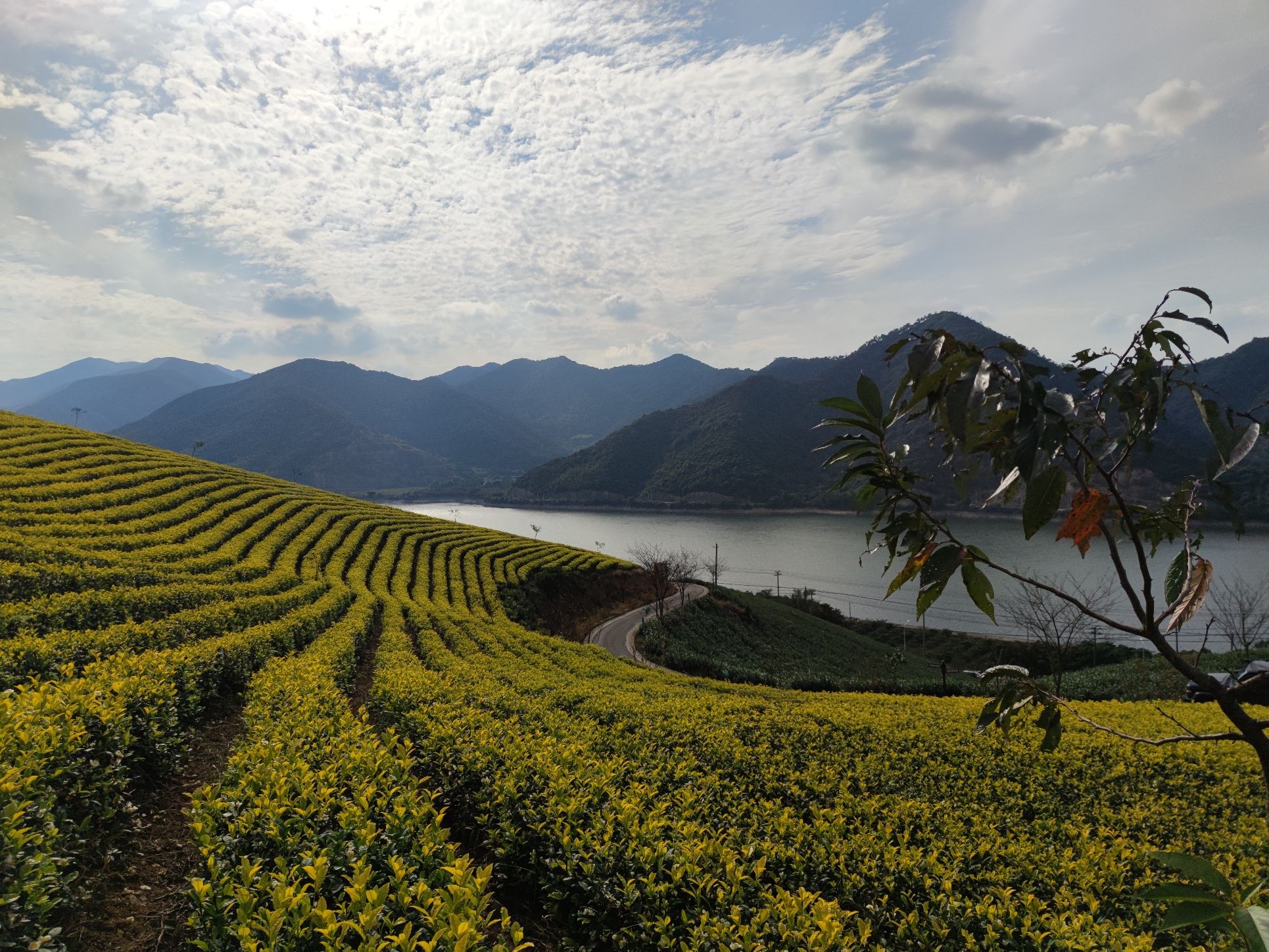 金鹅湖旅行图片 1