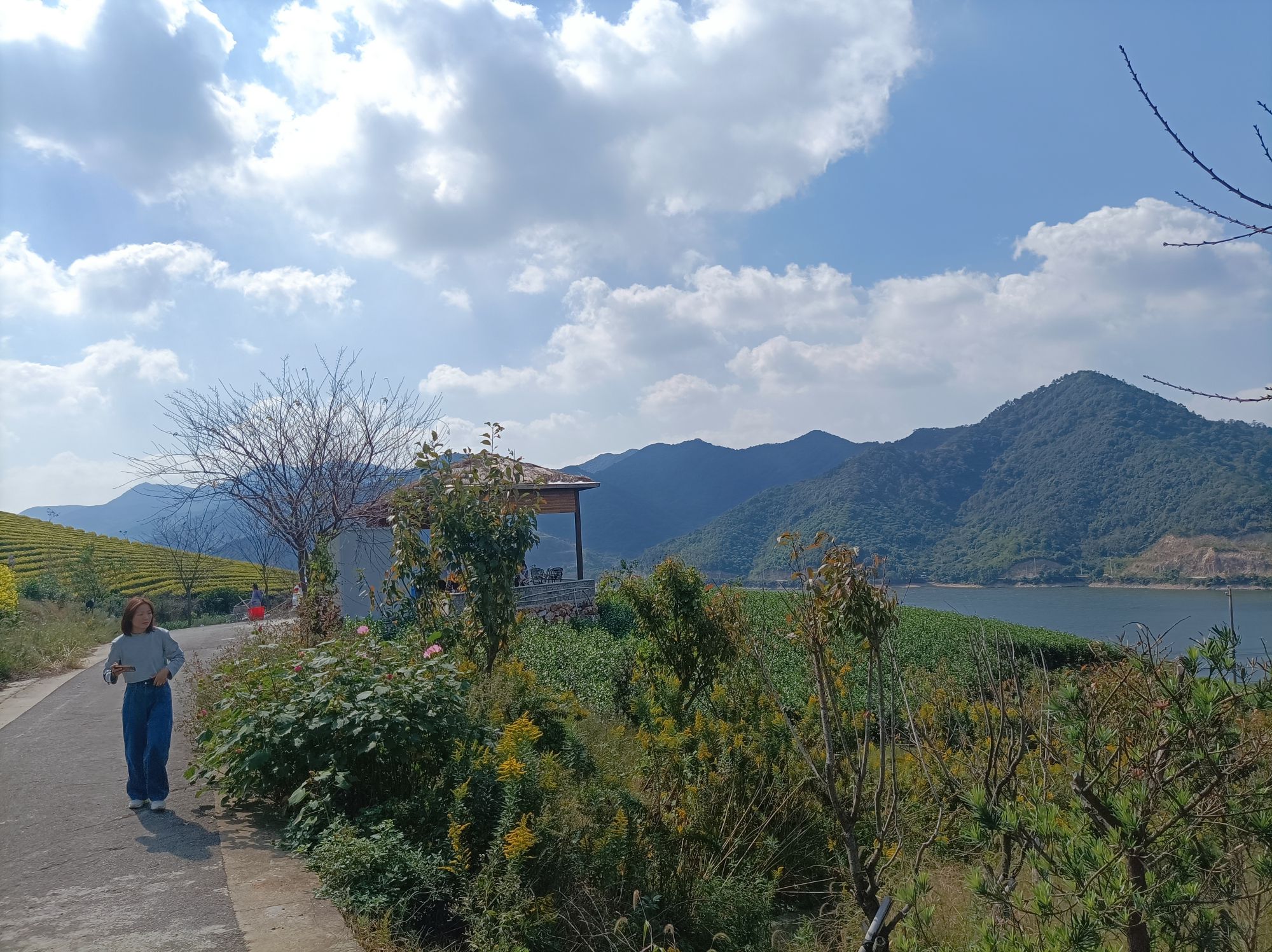 金鹅湖旅行图片 3