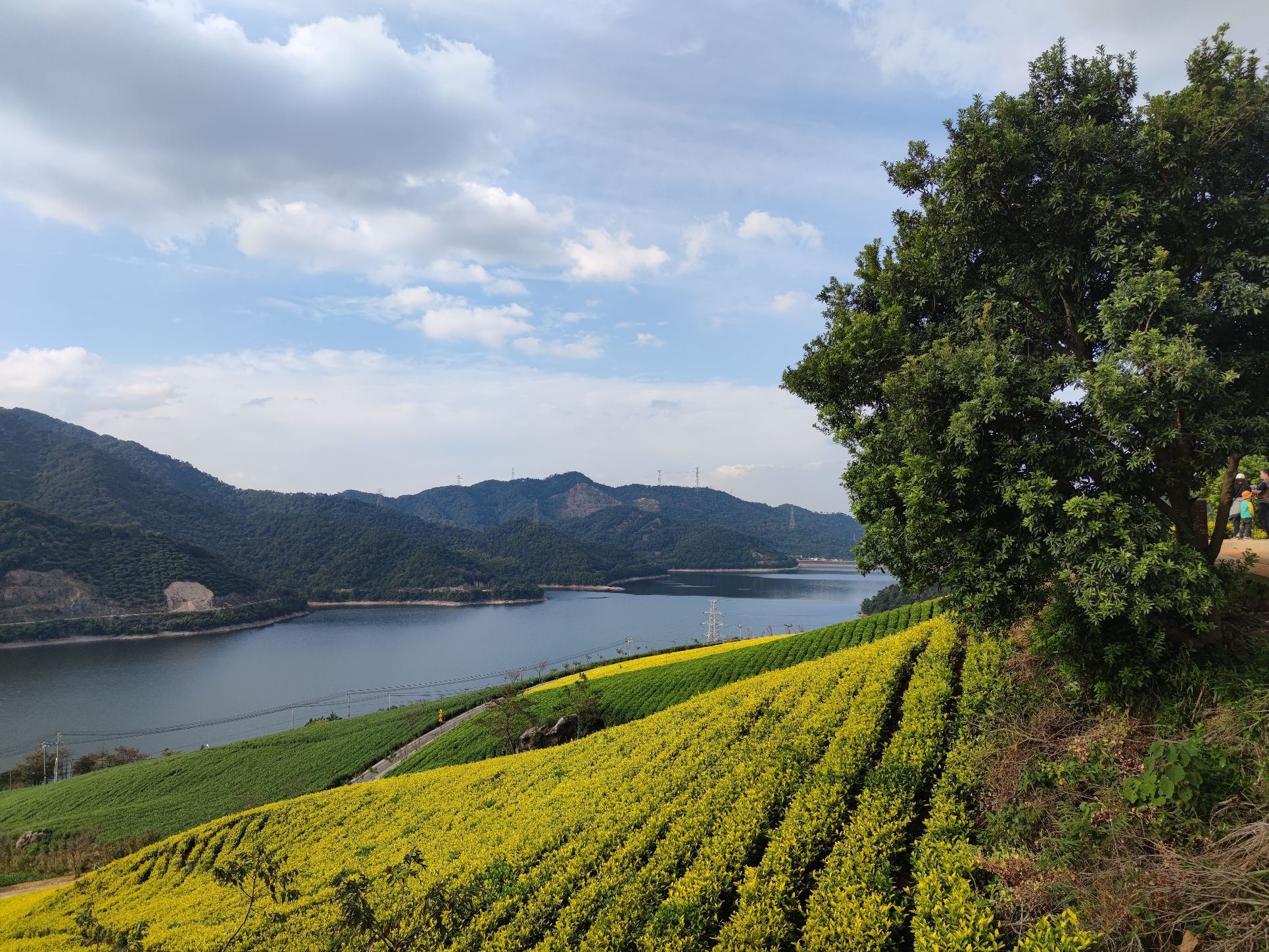 金鹅湖旅行图片 2