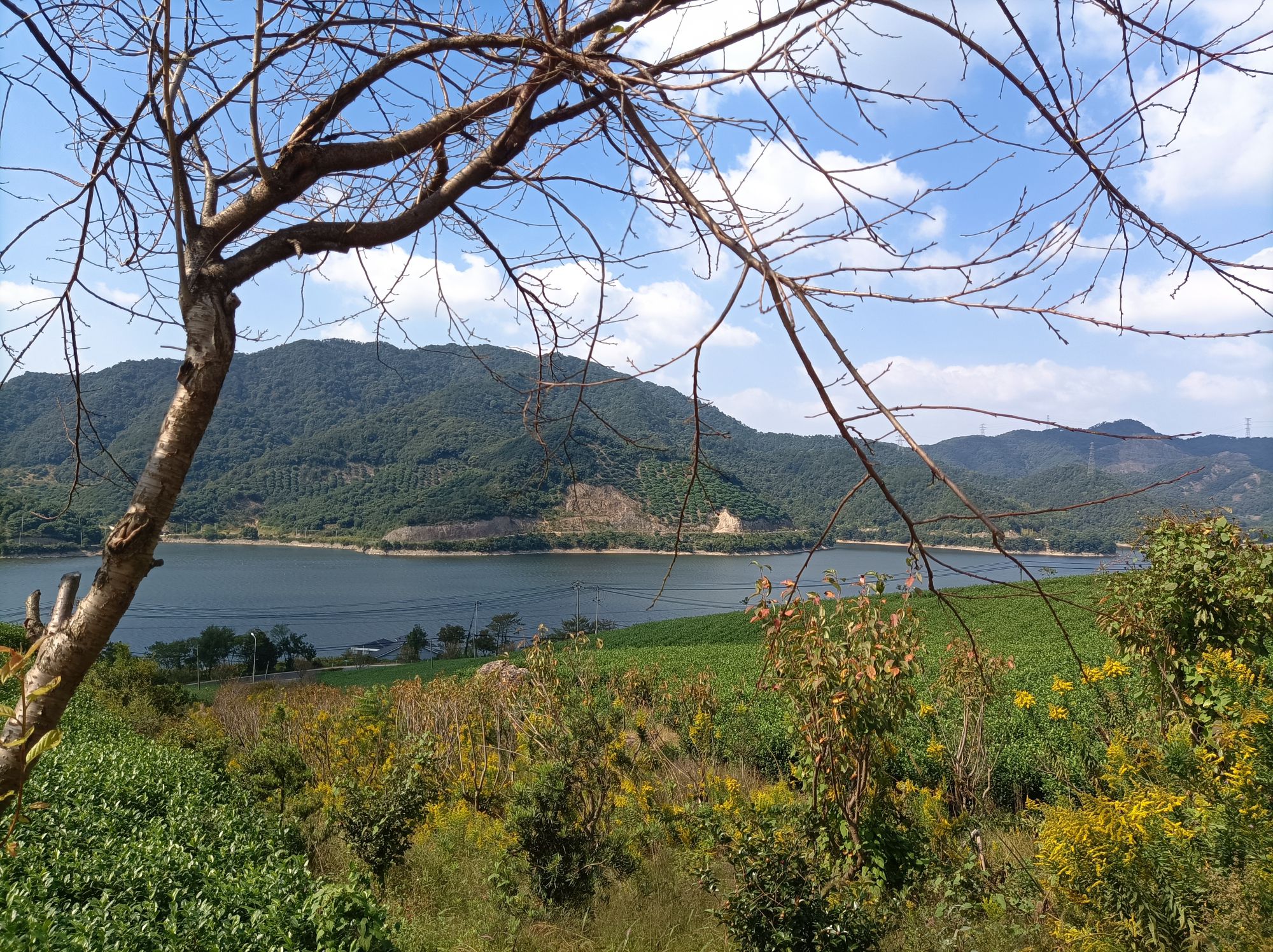 金鹅湖旅行图片 2