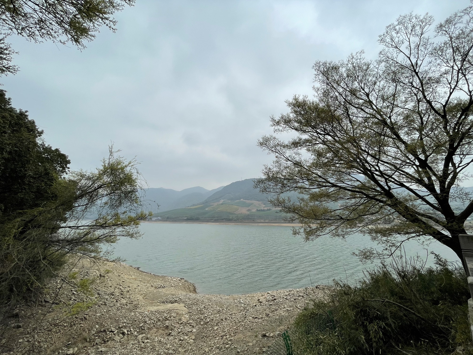 金鹅湖旅行图片 3
