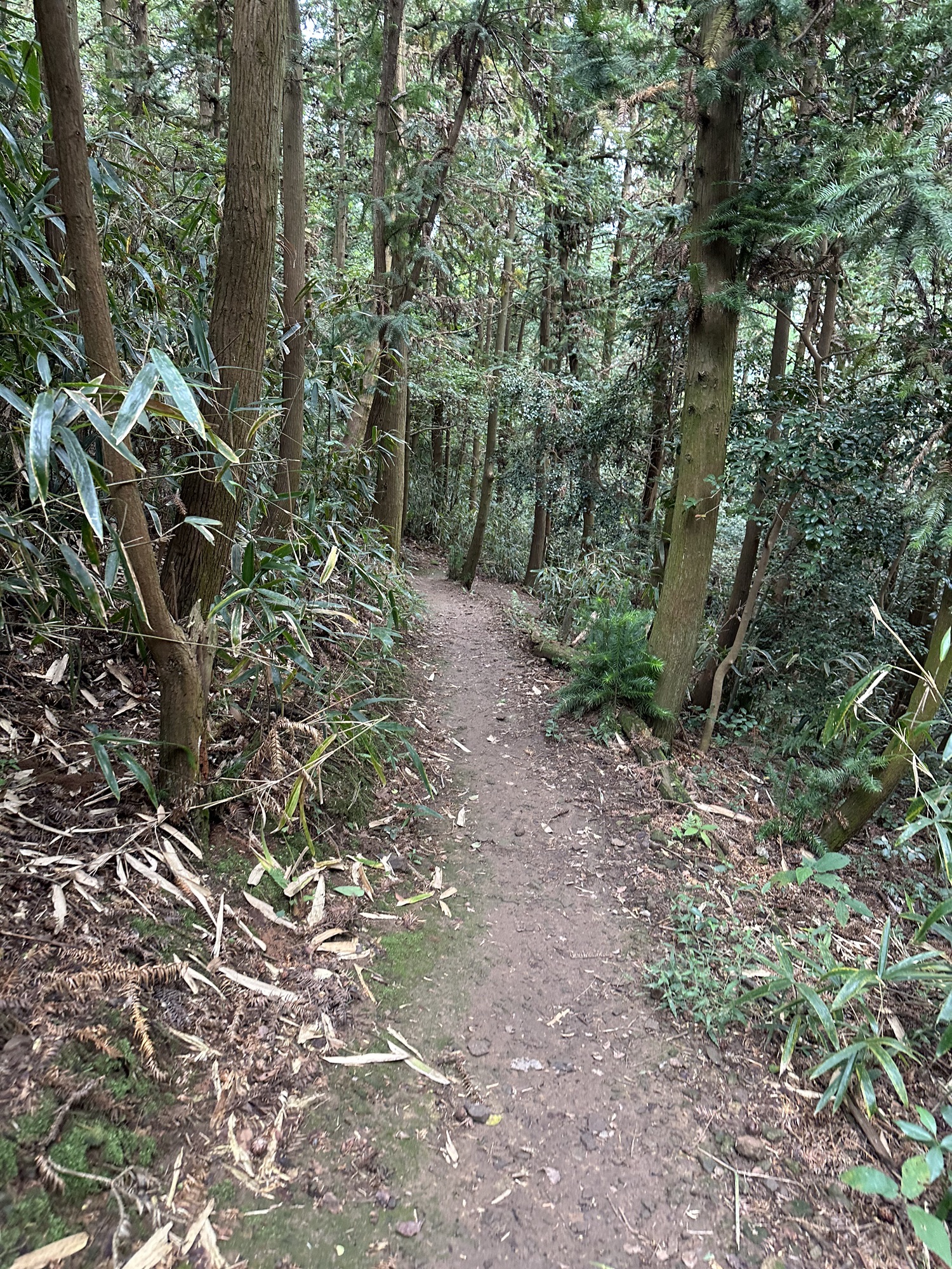 亭溪岭旅行图片 3
