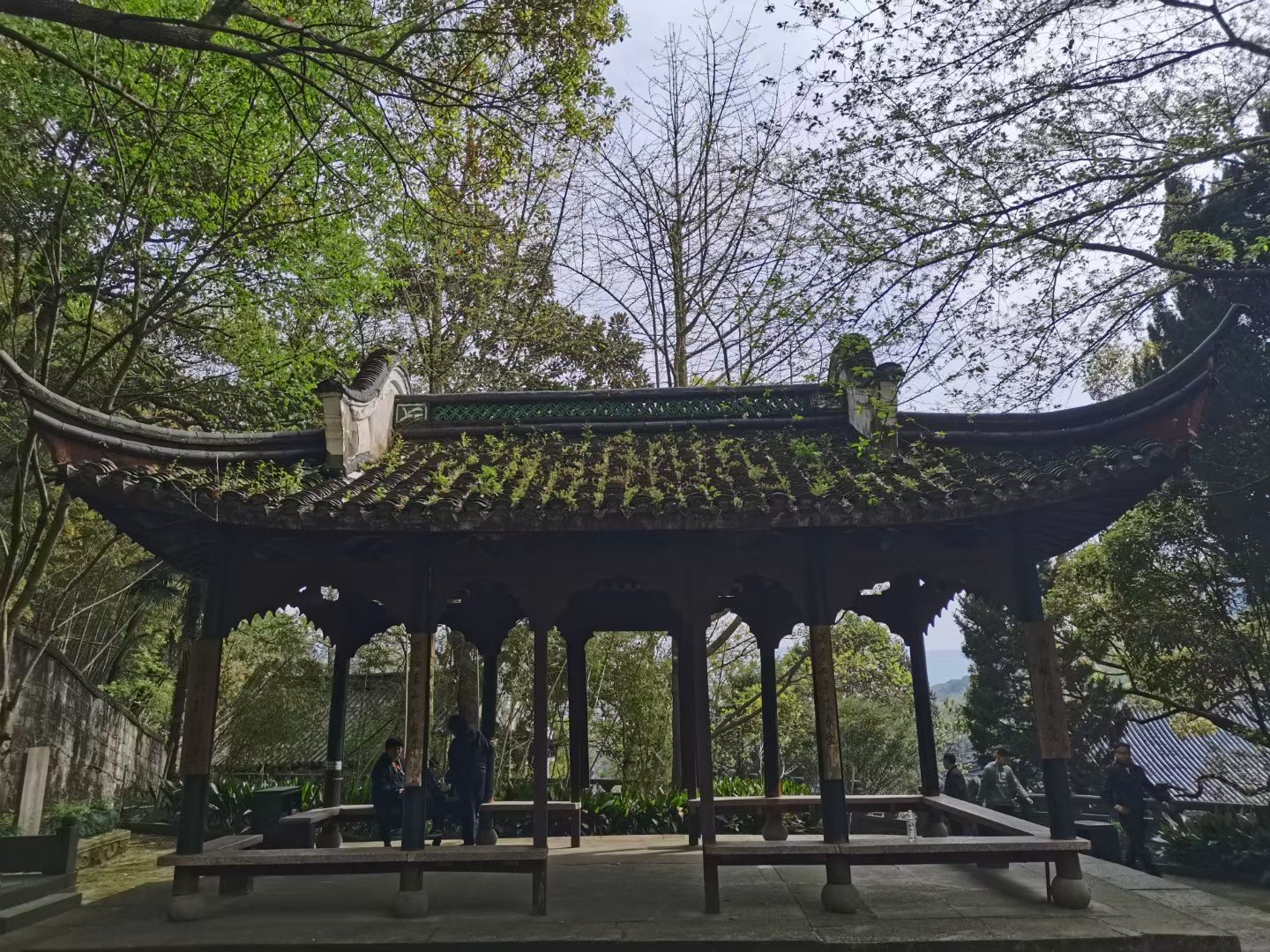 天童风景名胜区旅行图片 2
