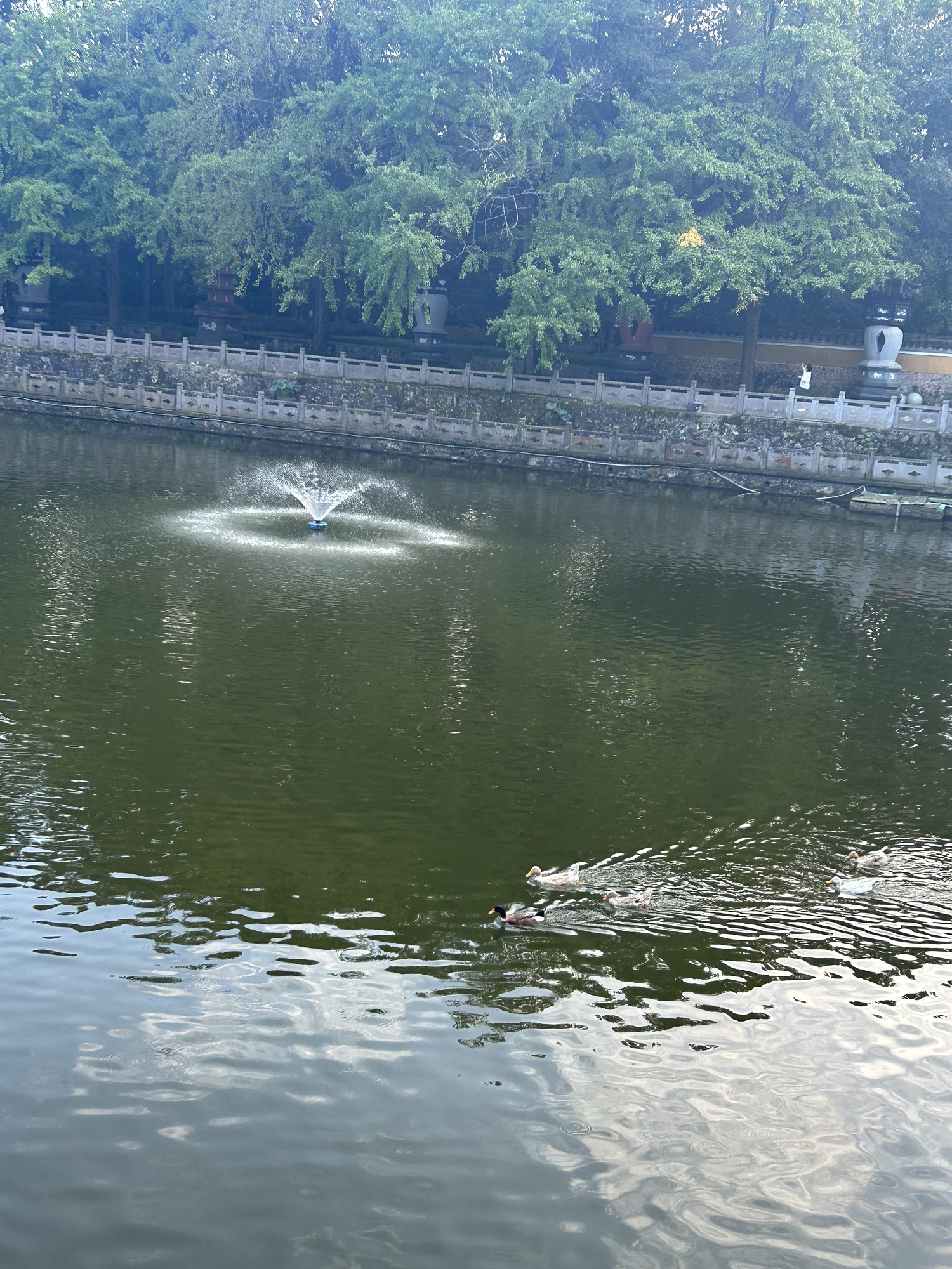 天童风景名胜区旅行图片 3