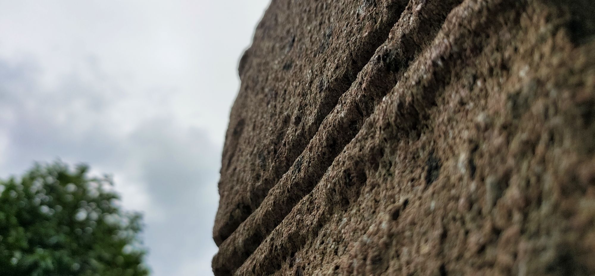 滨江公园旅行图片 1