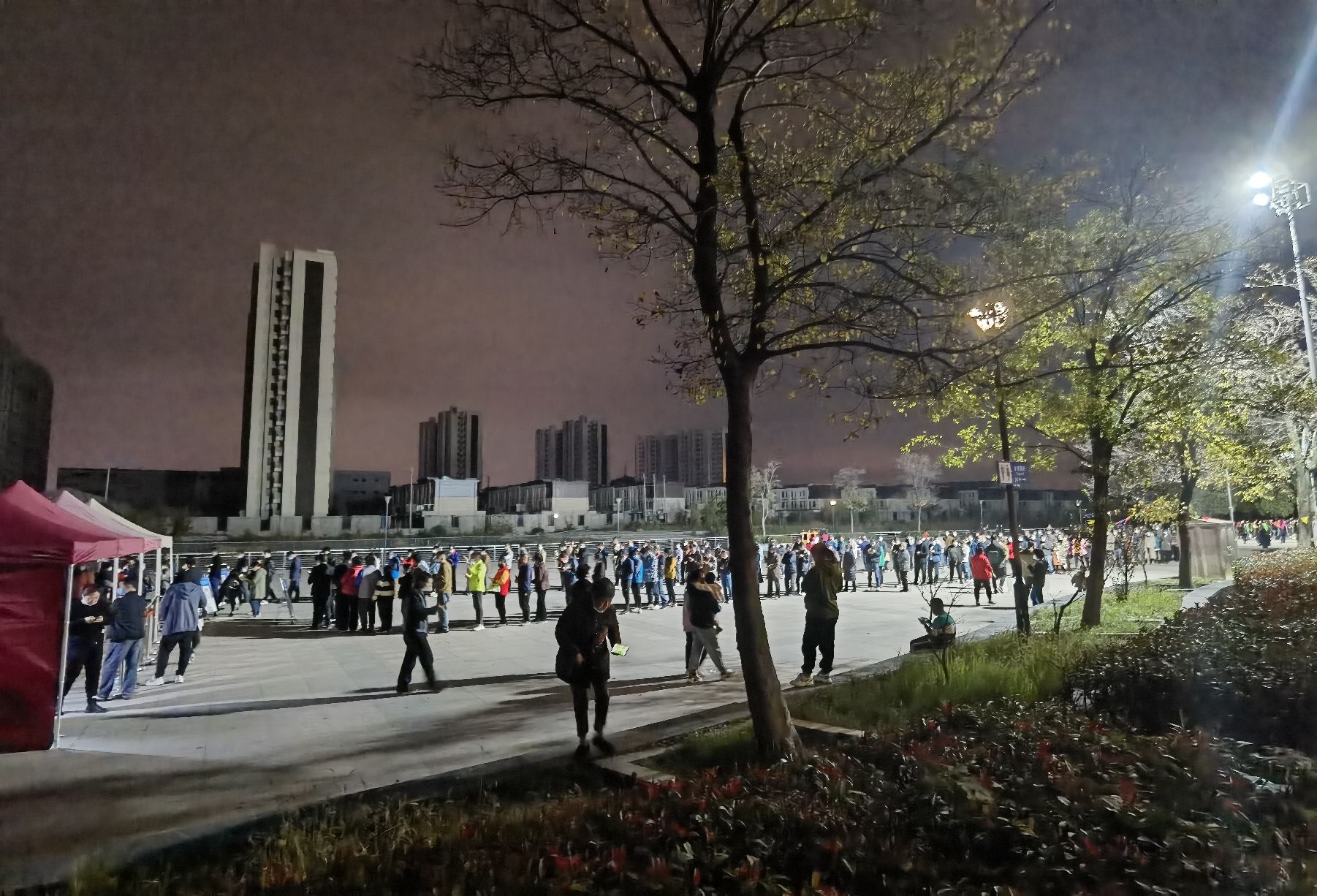 滨江公园旅行图片 1