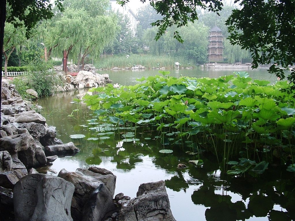 东苑园旅行图片 3