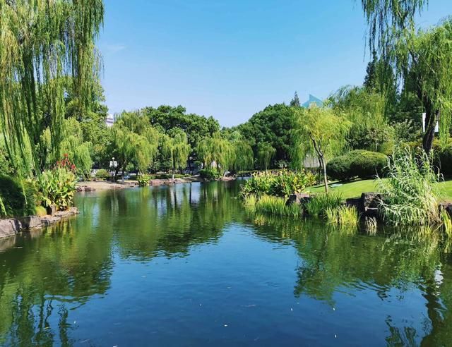 宁波邱二公园旅行图片 1