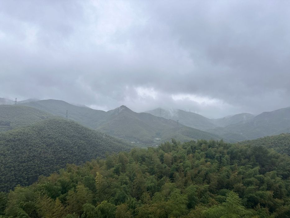 浙东大竹海景区旅行图片 2