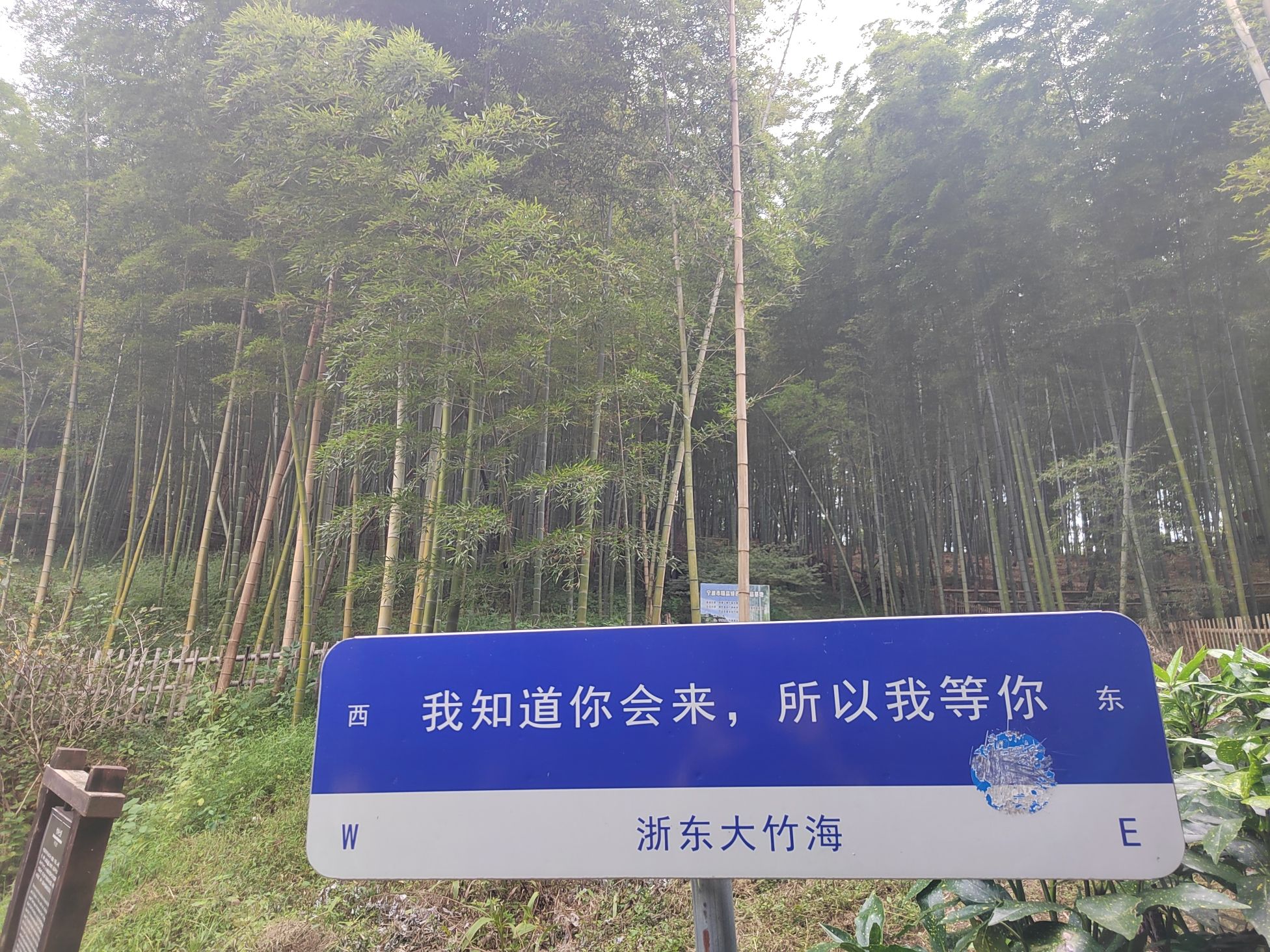 浙东大竹海景区旅行图片 1
