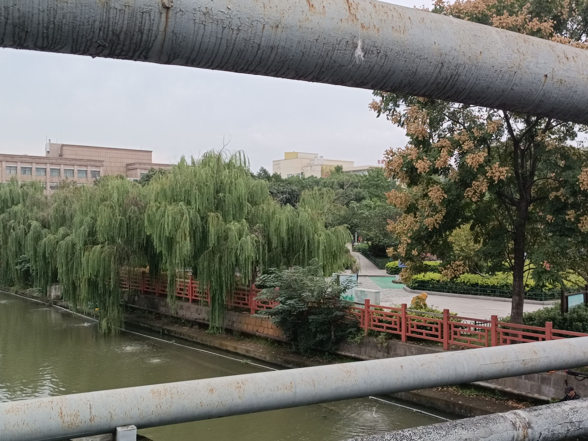 海曙区石碶街道健康教育广场旅行图片 3