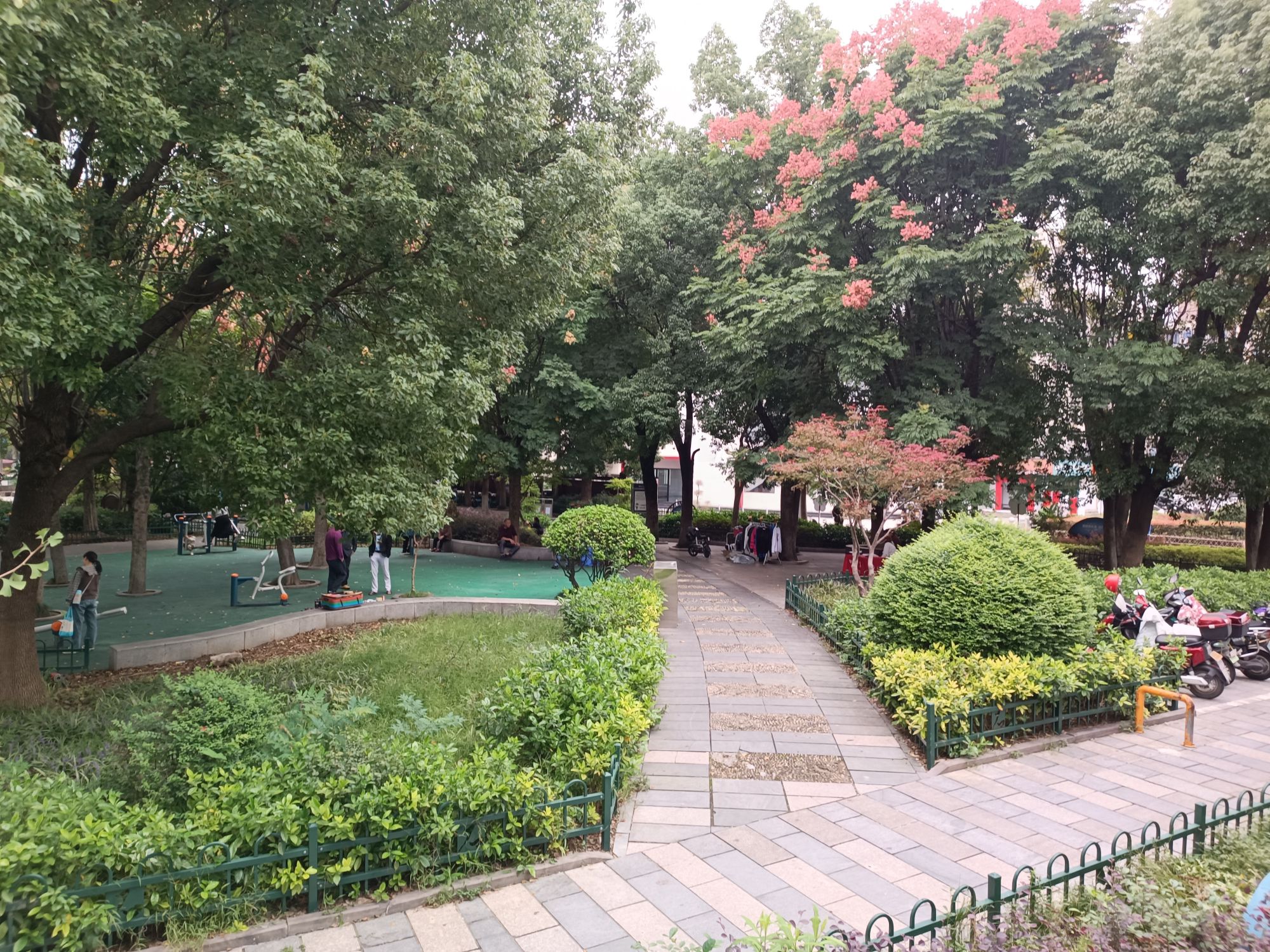 海曙区石碶街道健康教育广场旅行图片 2