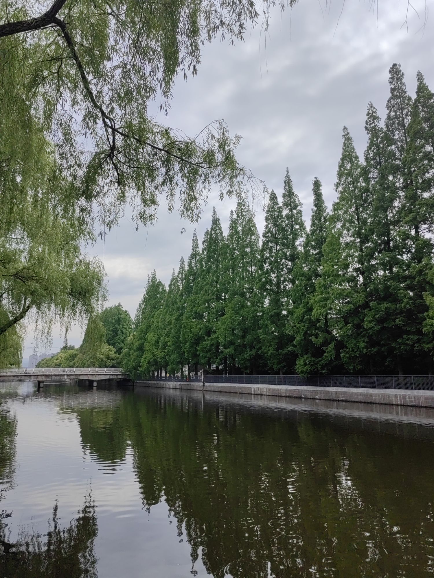 宁波海晨公园