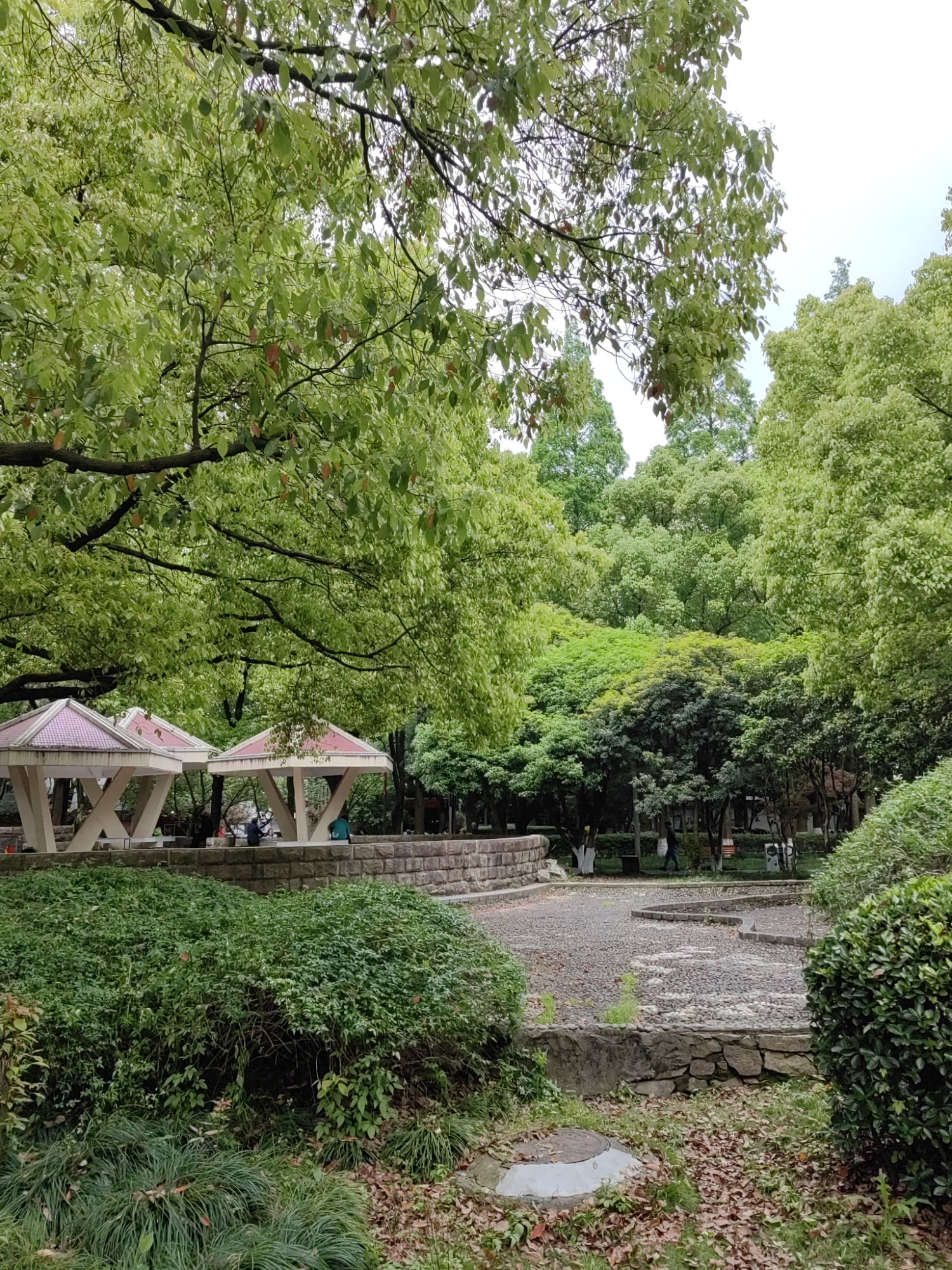 宁波海晨公园