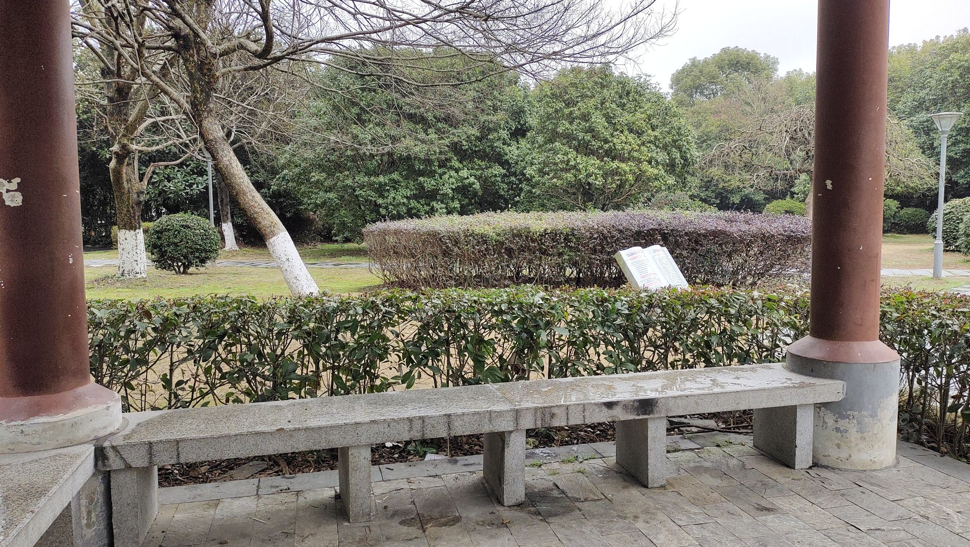 宁波洪塘健康主题公园旅行图片 1