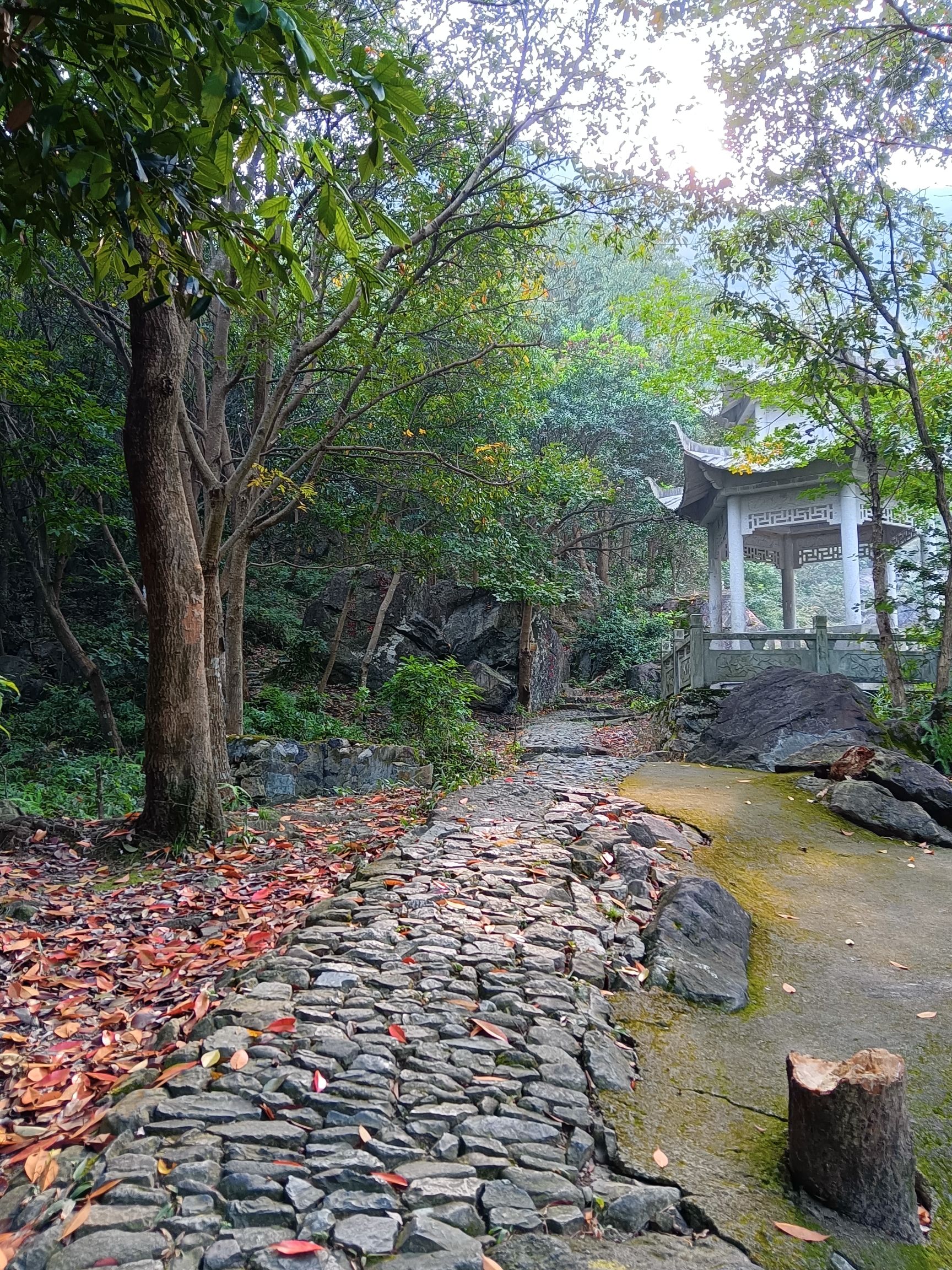 虎啸山谷风景区