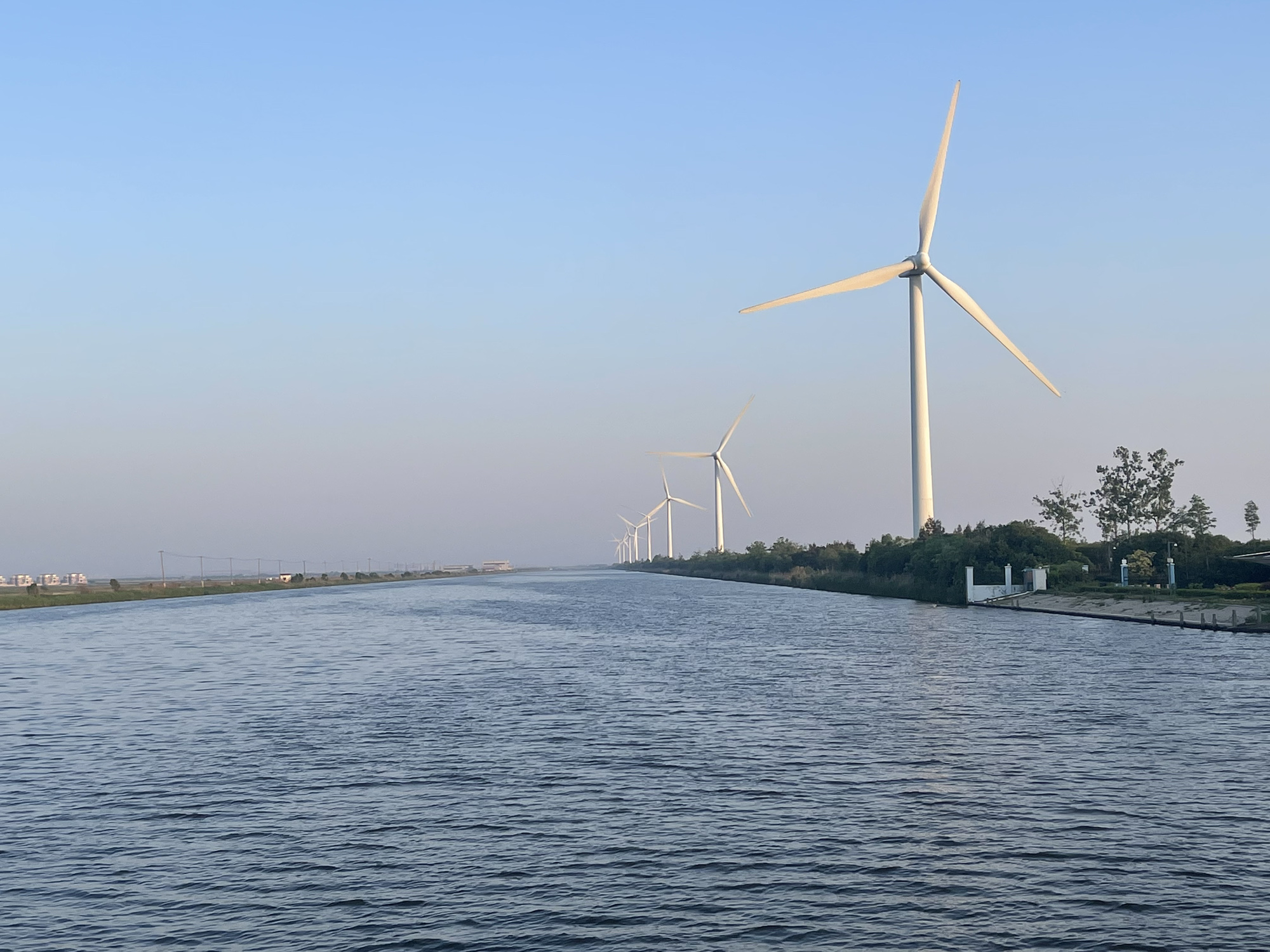 杭州湾国家湿地公园旅行图片 1