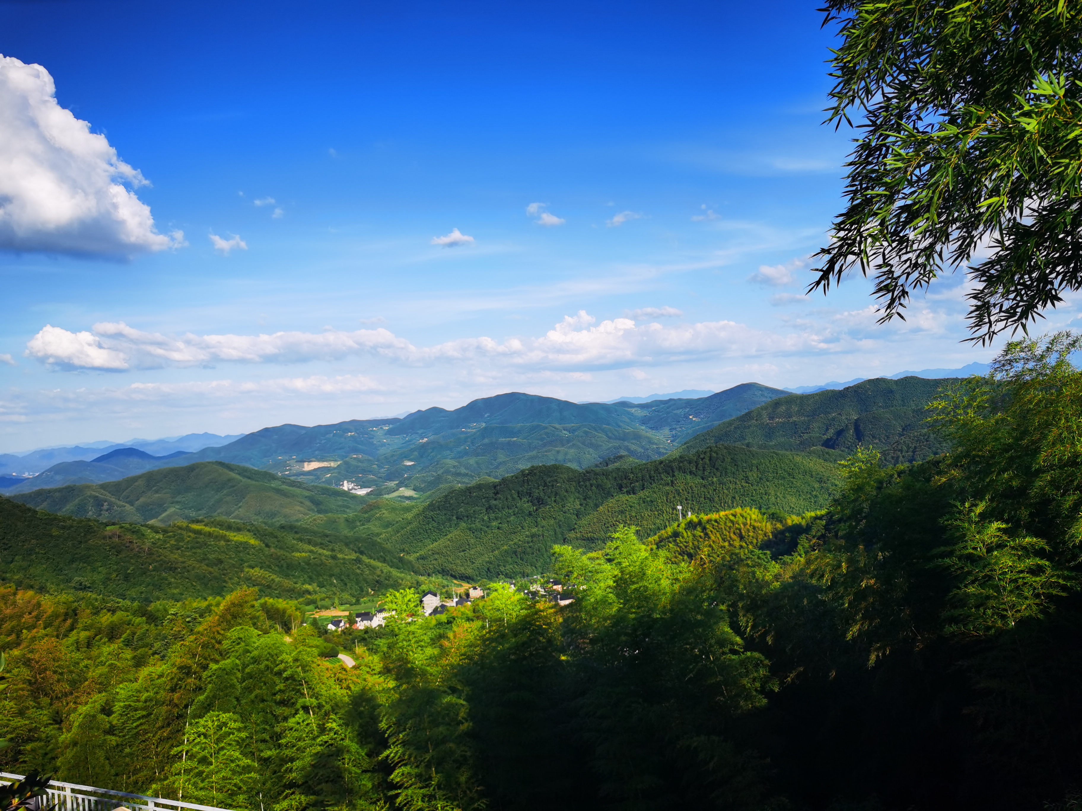 杭州湾国家湿地公园旅行图片 1