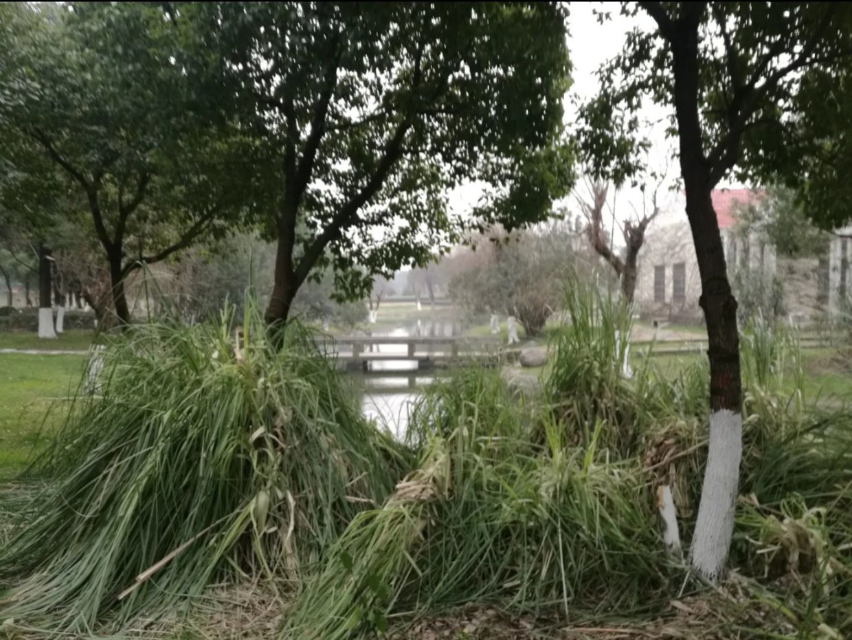 集士公园旅行图片 3