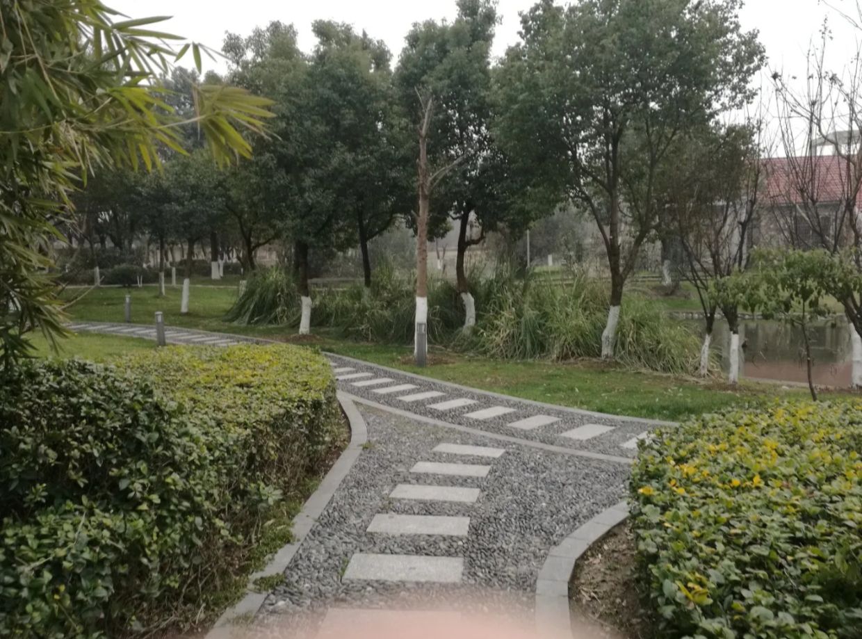 集士公园旅行图片 2