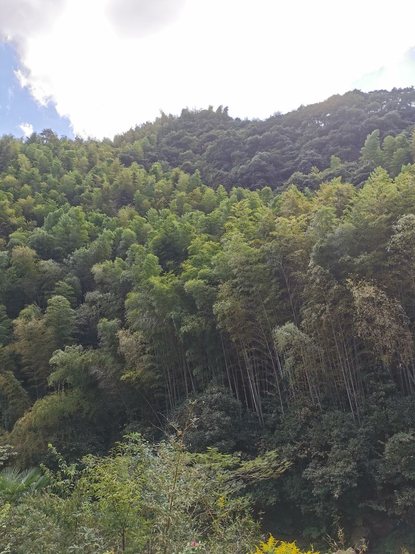 浙东小九寨旅行图片 2