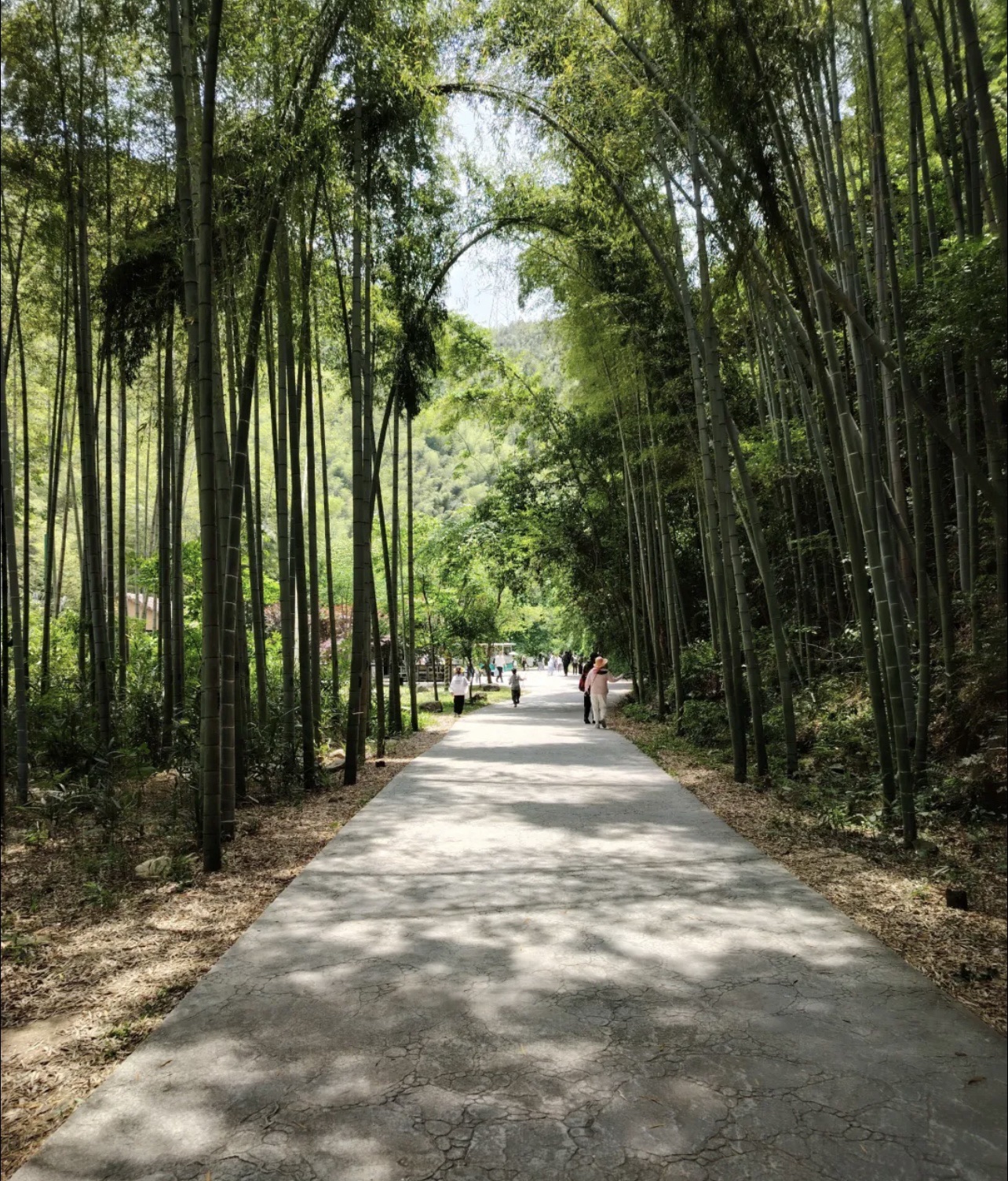 浙东小九寨旅行图片 1