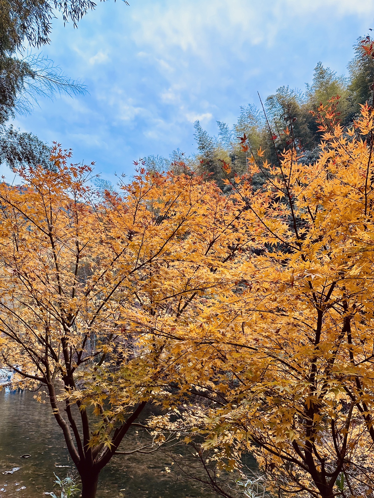 浙东小九寨旅行图片 1